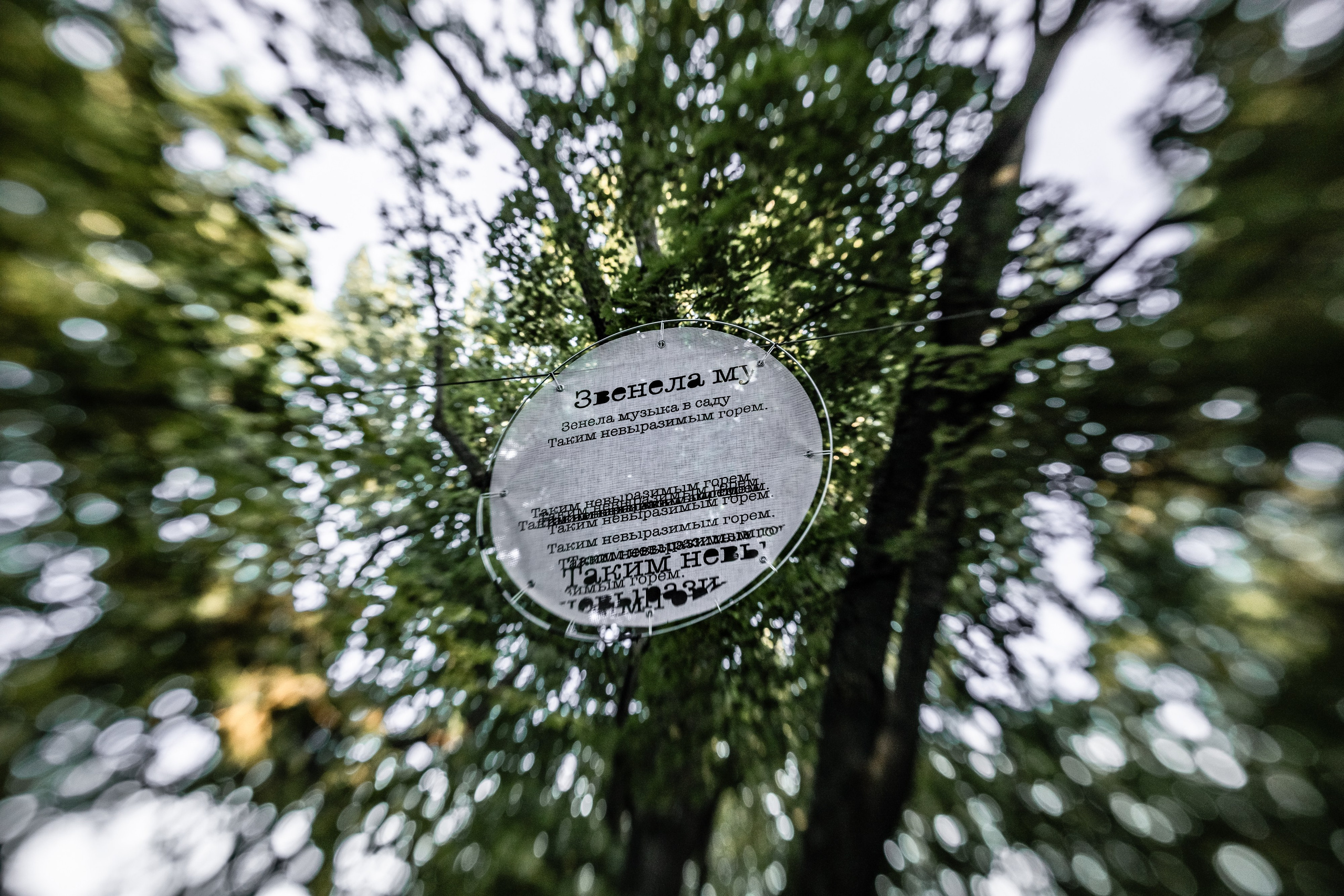 Бродский DRIVE 2024. Евгения Стриженова — репортажный фотограф в Санкт-Петербурге