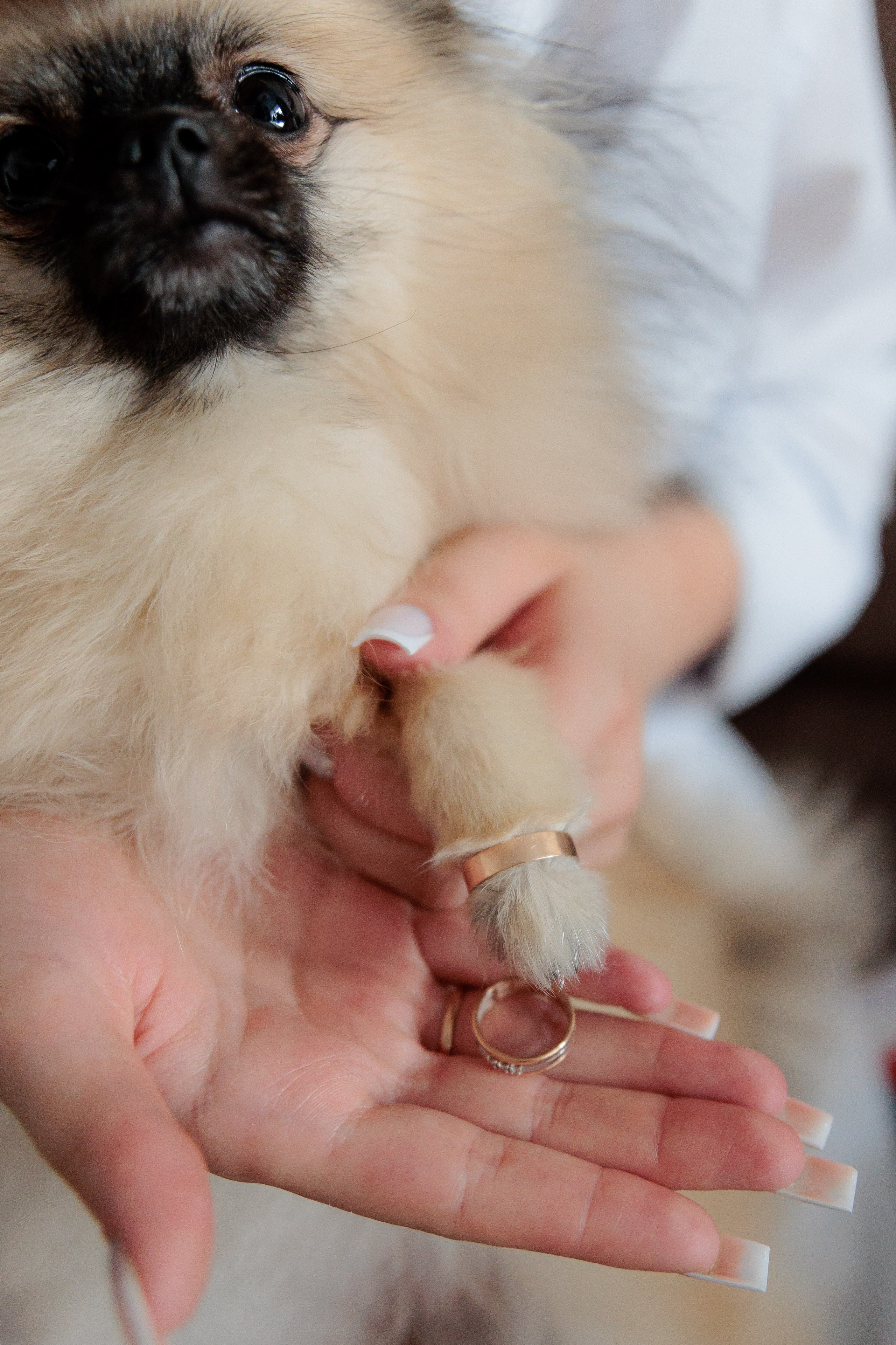 Анастасия и Павел. Фотограф Дарья Норкина