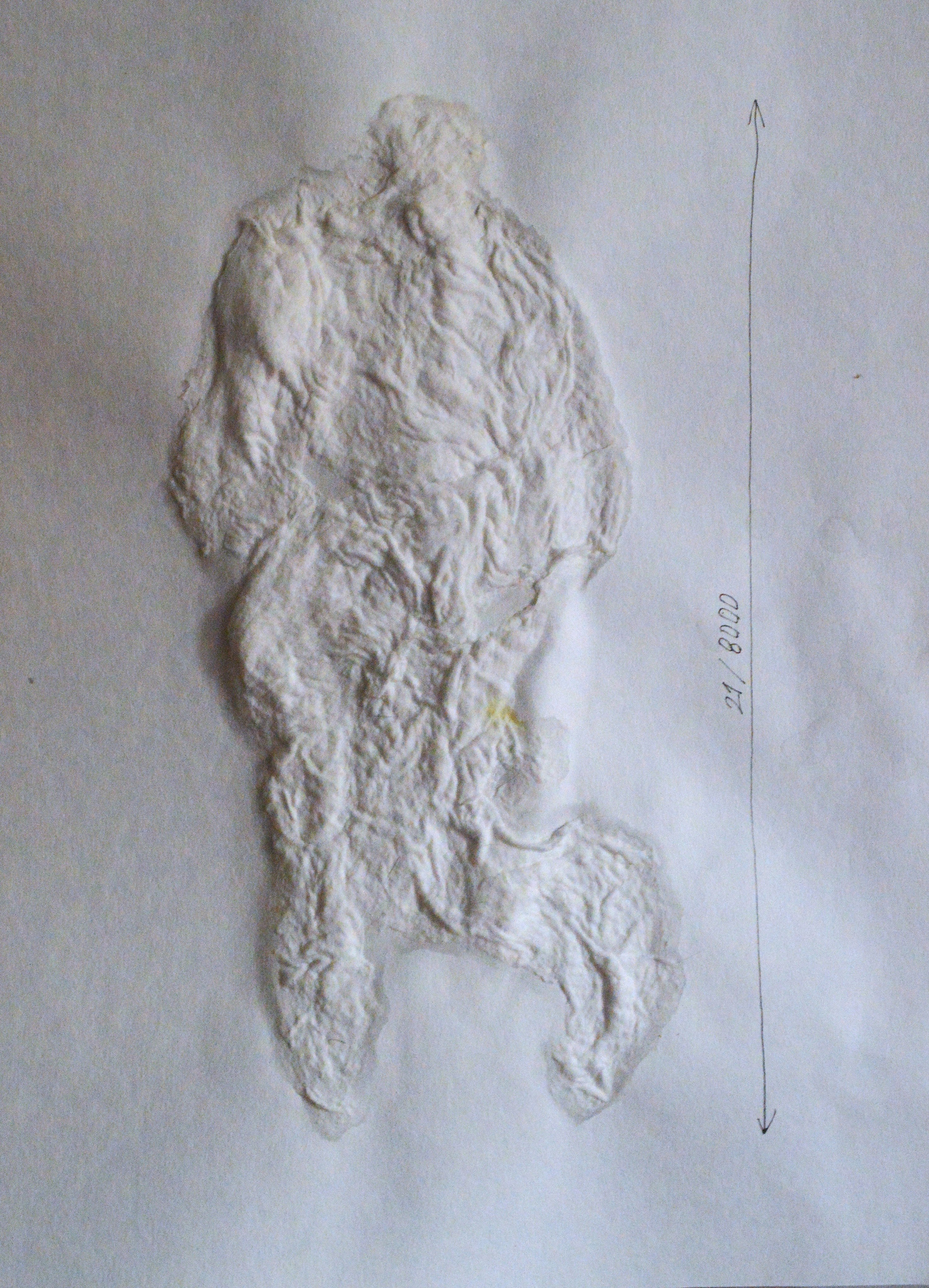 «8000 женщин» 2025. Лилия Ким. Междисциплинарный художник