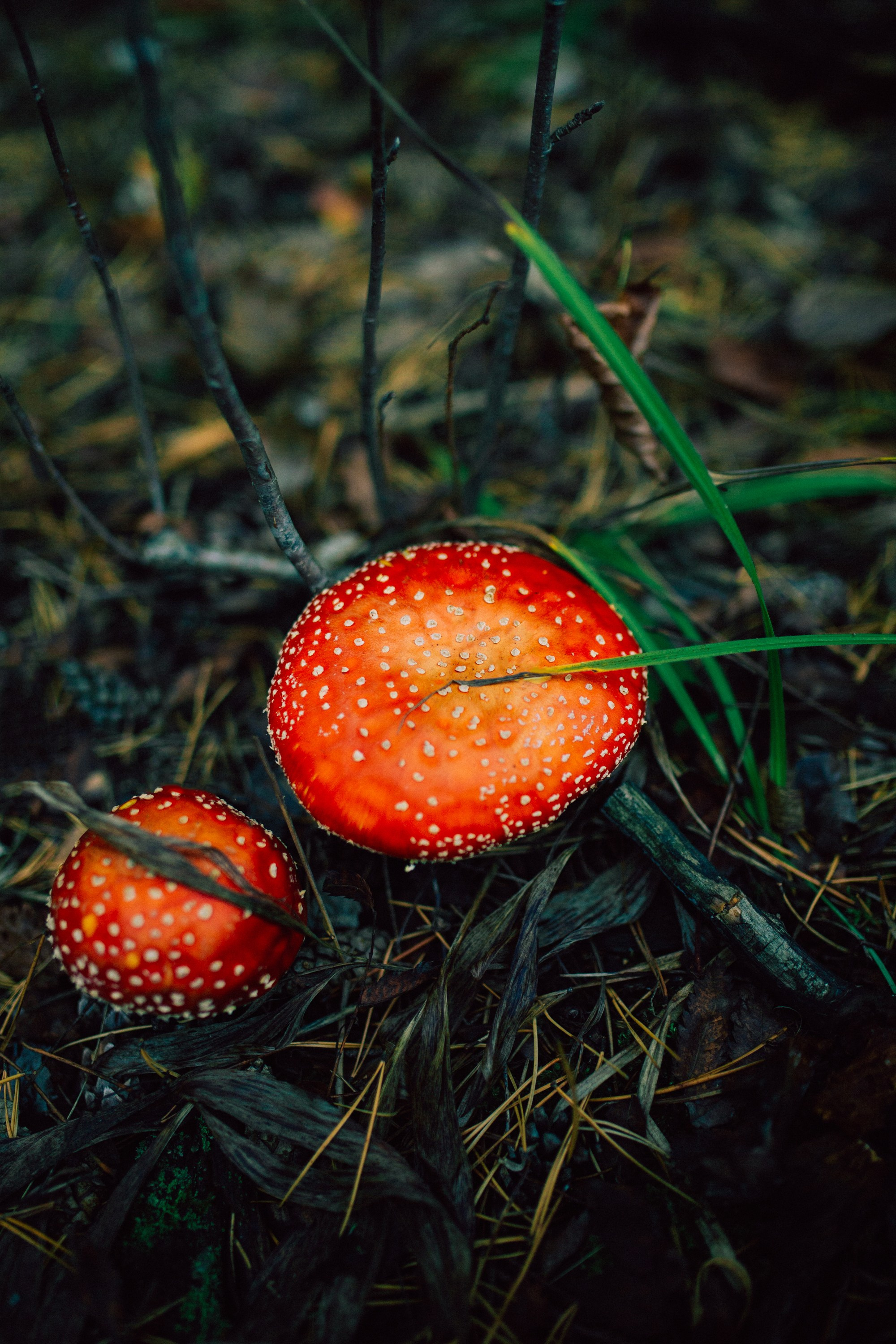 Как мы пошли за третьим. Фотограф Оля Батист