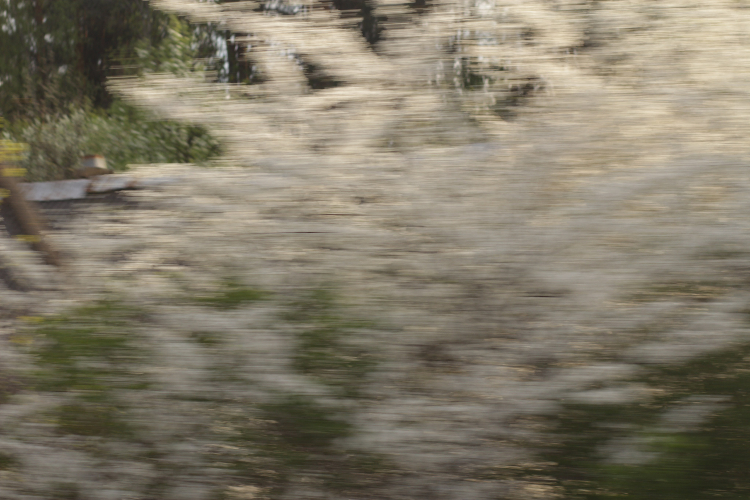 Фотография в движении