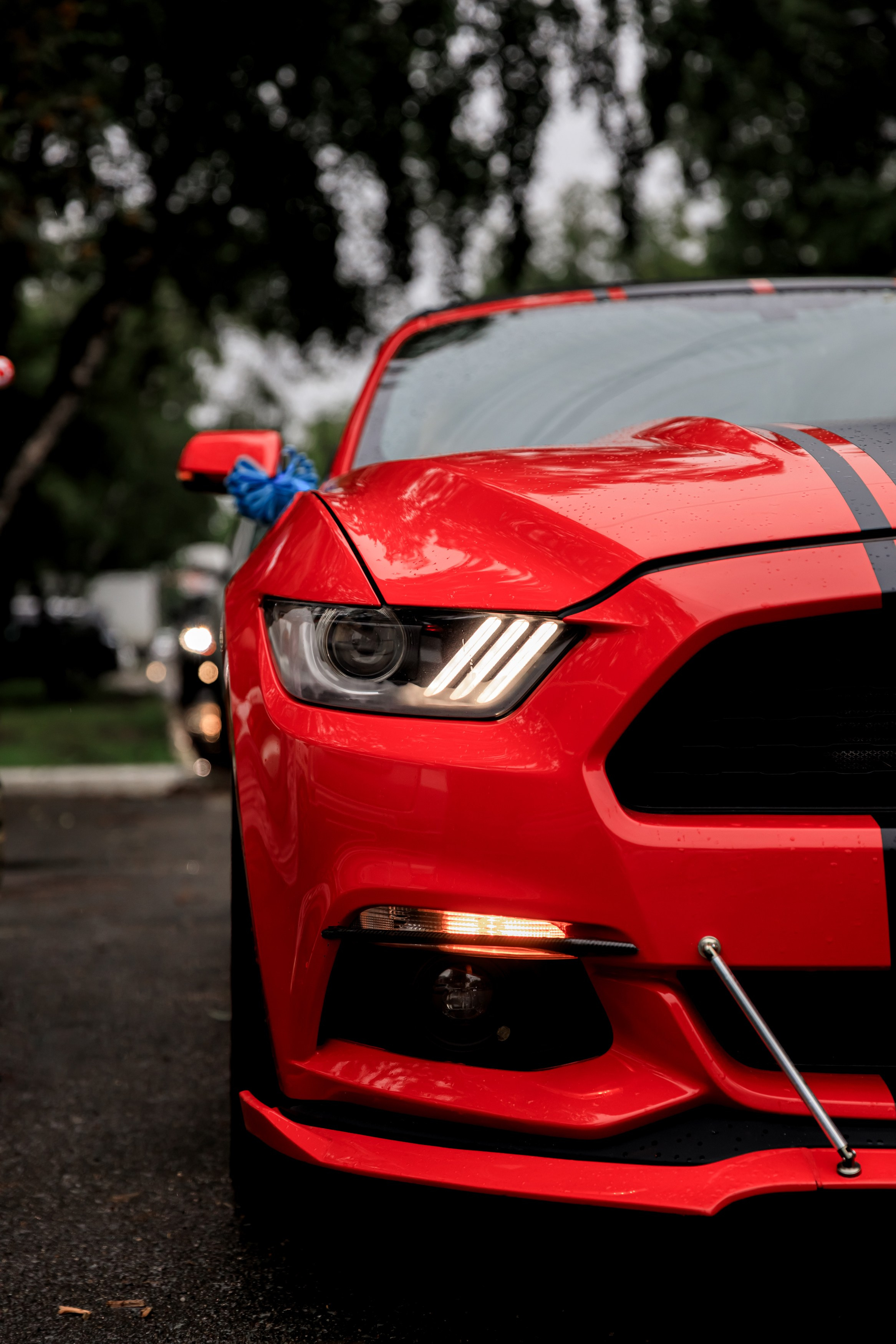 Сборник. Свадебный фотограф во Владивостоке, Уссурийске и городе Артём