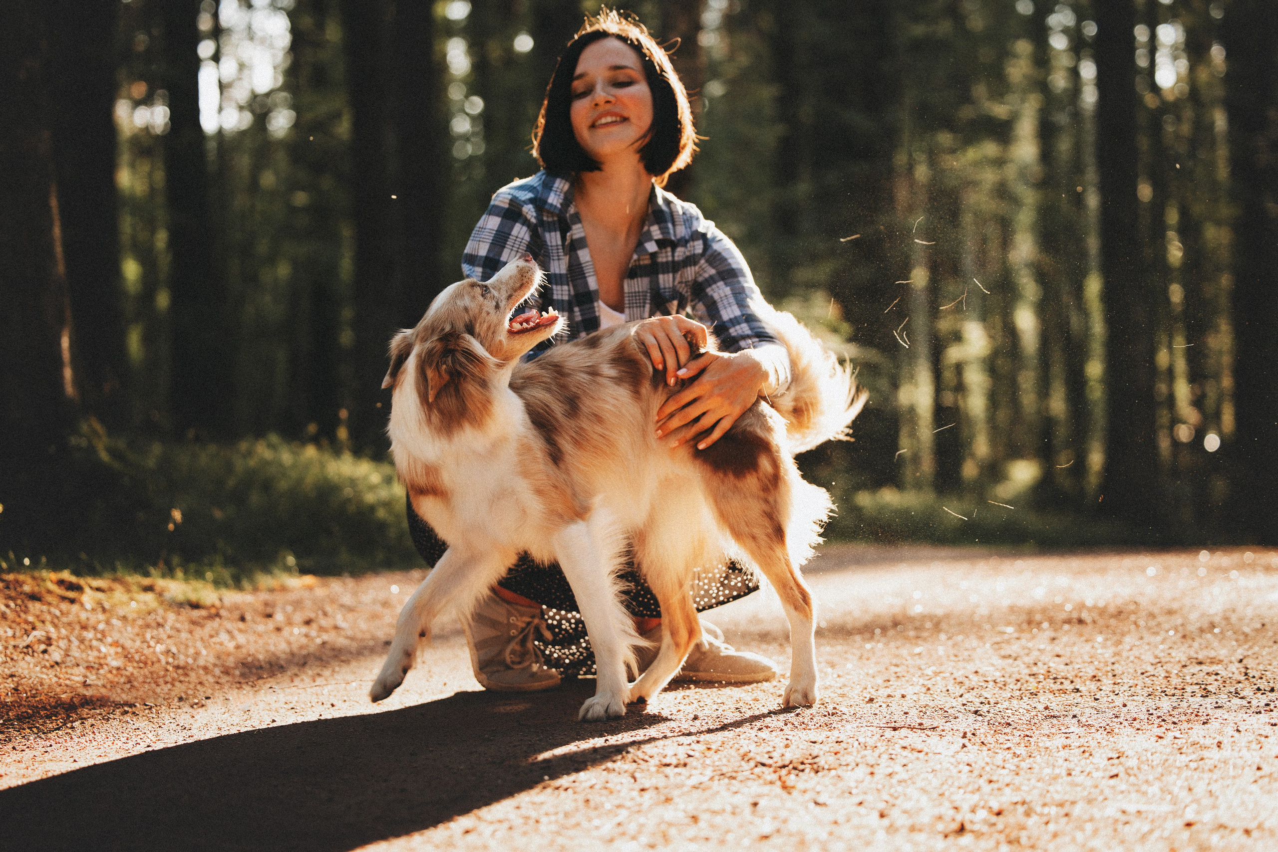 Рита, Маша и много собак. Фотограф анималист Осипчикова Мария