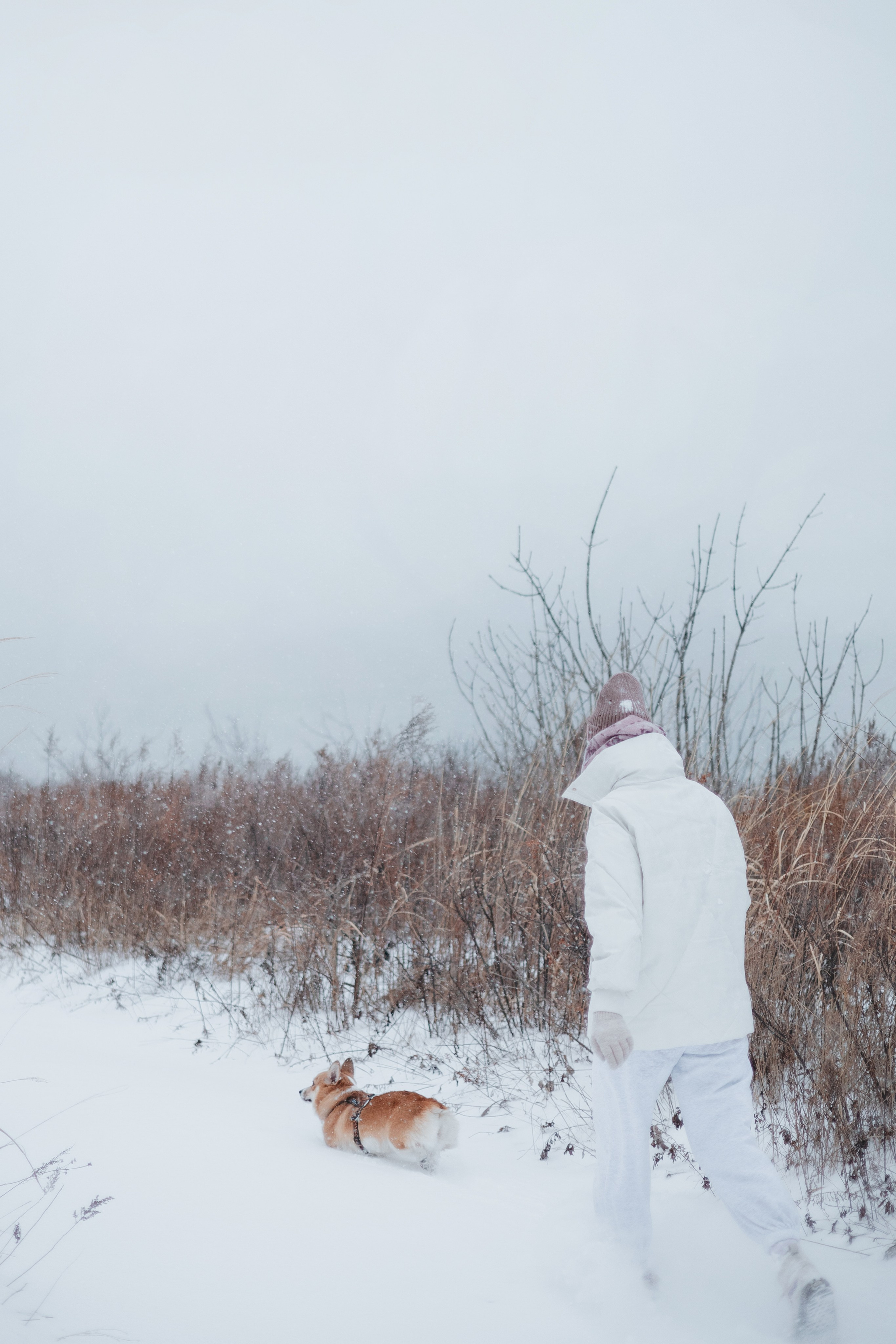 Лена, Лиза и Мия. Фотограф — анималист Владивосток, Алина