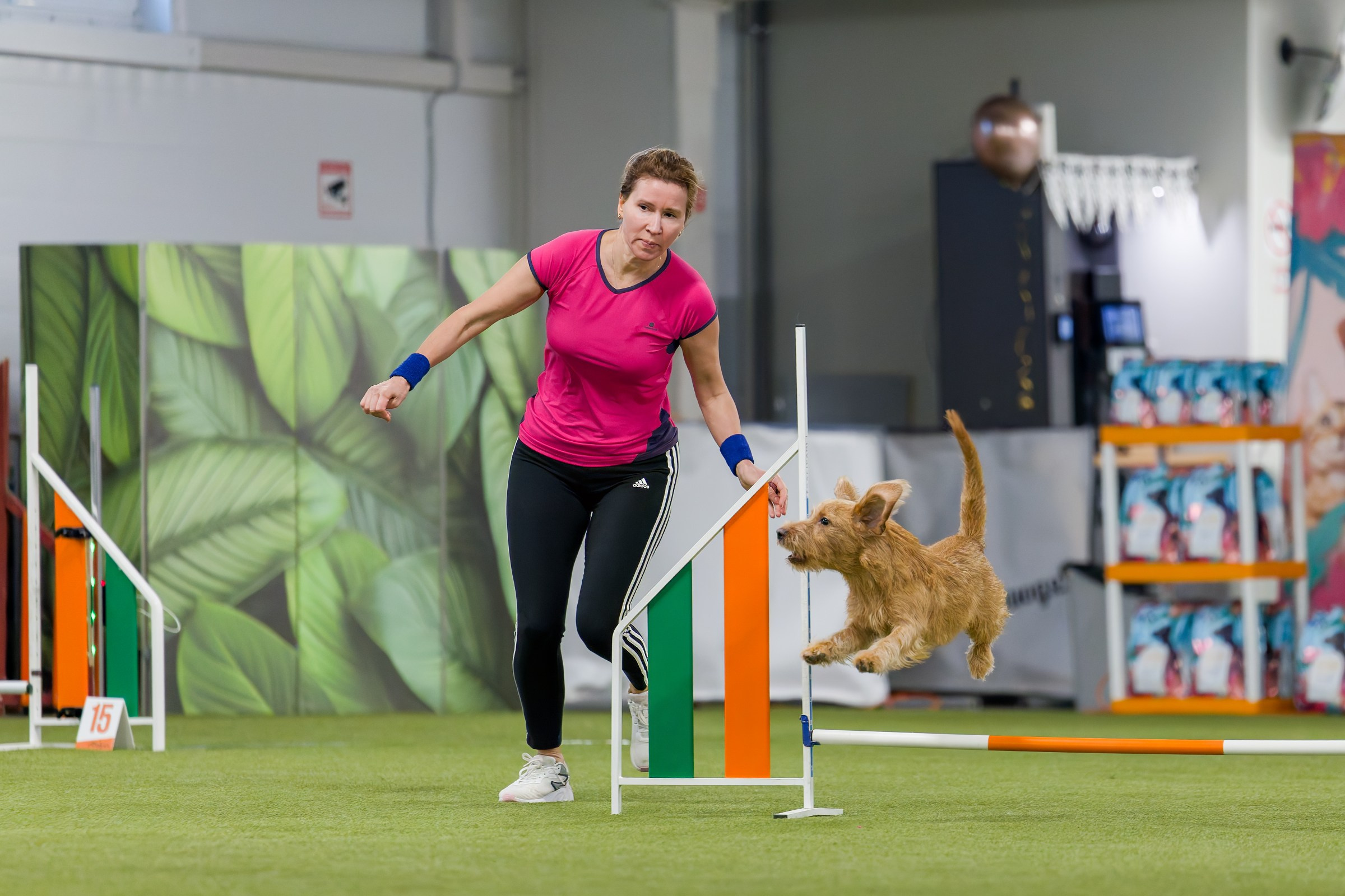 День рождения Пёсбурга — февраль 2025. Irenephoto.ru