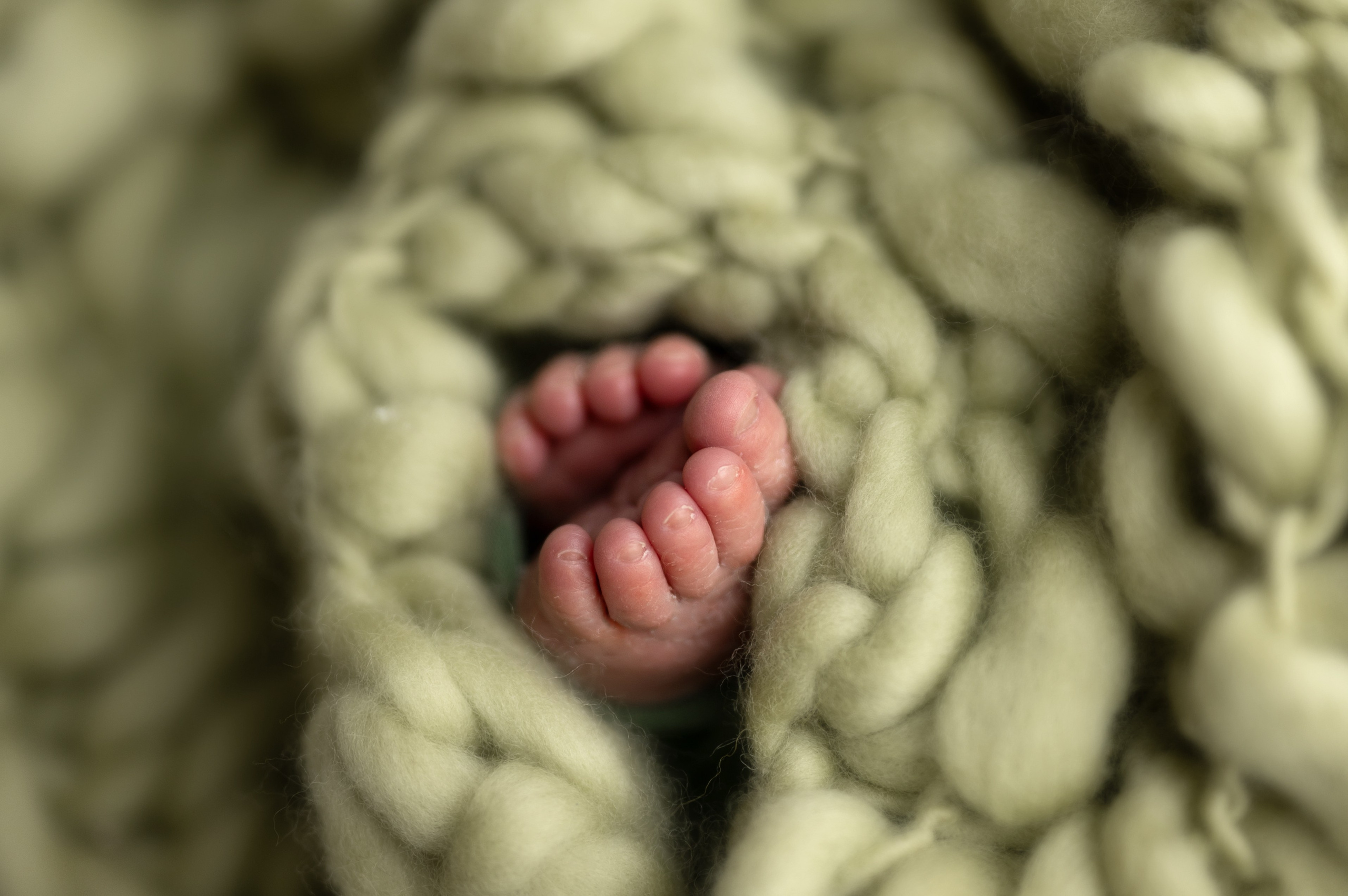 Максим 9 дней. Фотограф новорождённых Ольга Ушакова Москва