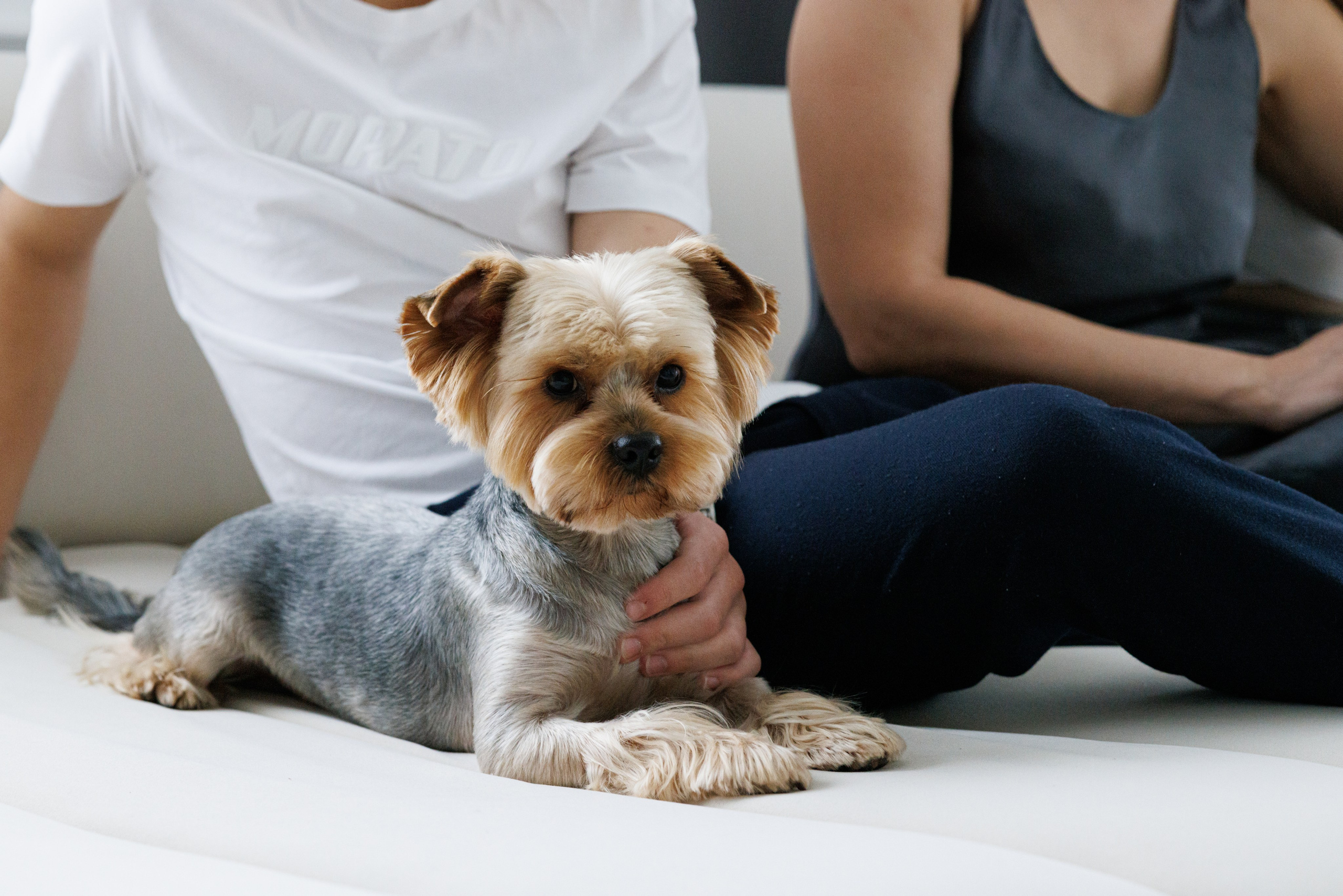 Фотосессия для Анастасии и ее семьи. Фотограф в Ростове-на-Дону