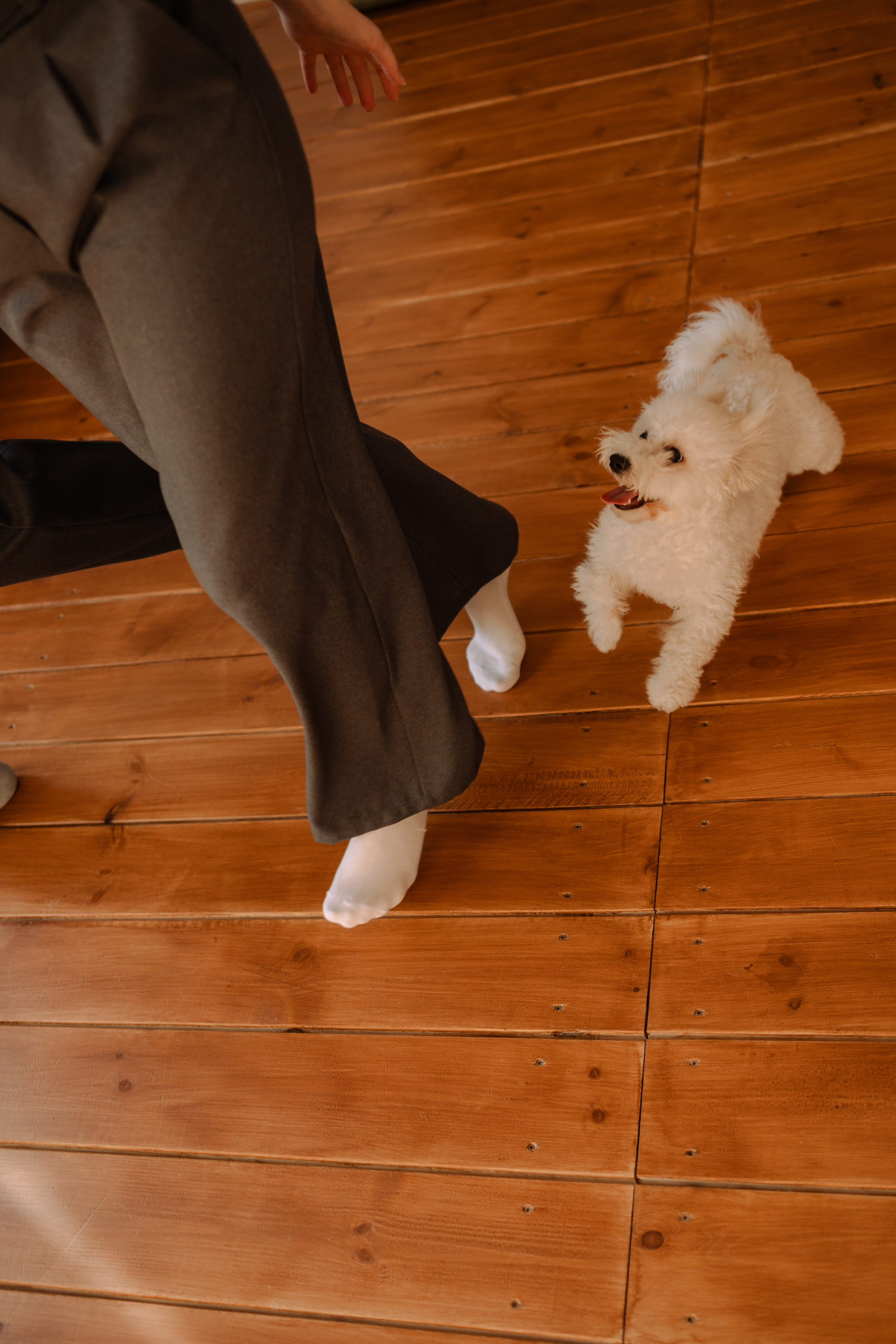 Луна и ее семья. Фотограф — Анималист | Санкт-Петербург