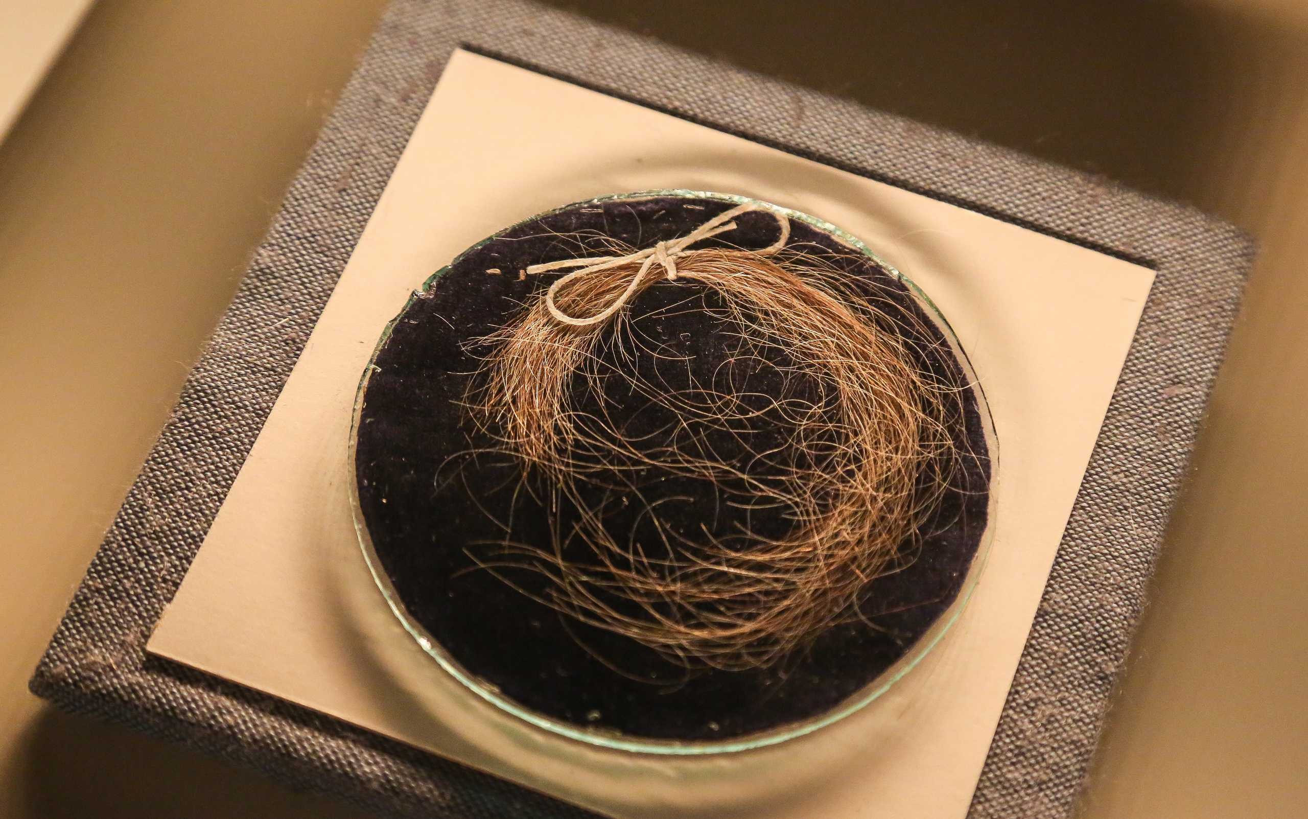 Австрия: Баден. Дарья Письменюк / Darya Leitstern — фотограф, музыкант, журналист, путешественник