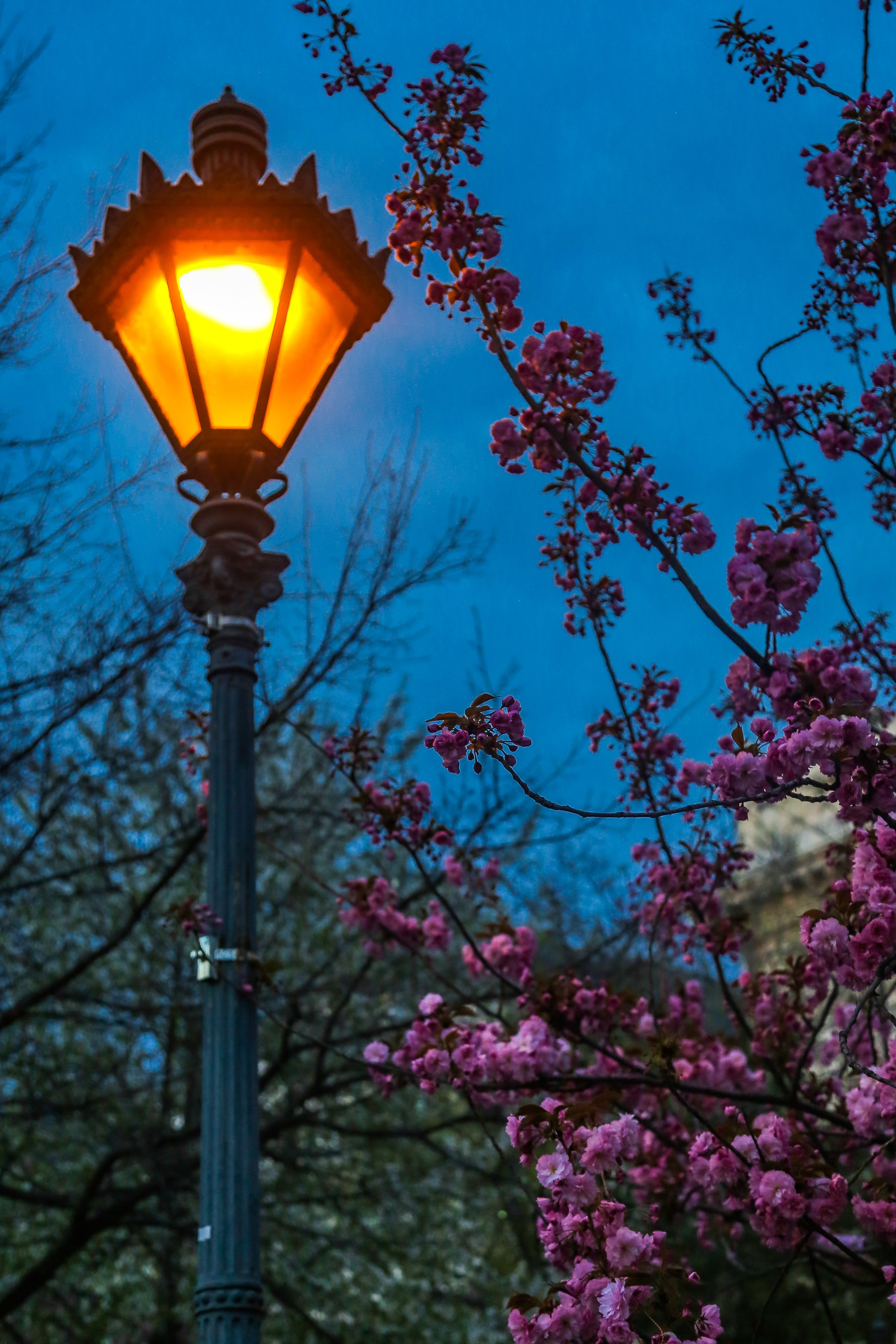 Венгрия: Будапешт. Дарья Письменюк / Darya Leitstern — фотограф, музыкант, журналист, путешественник