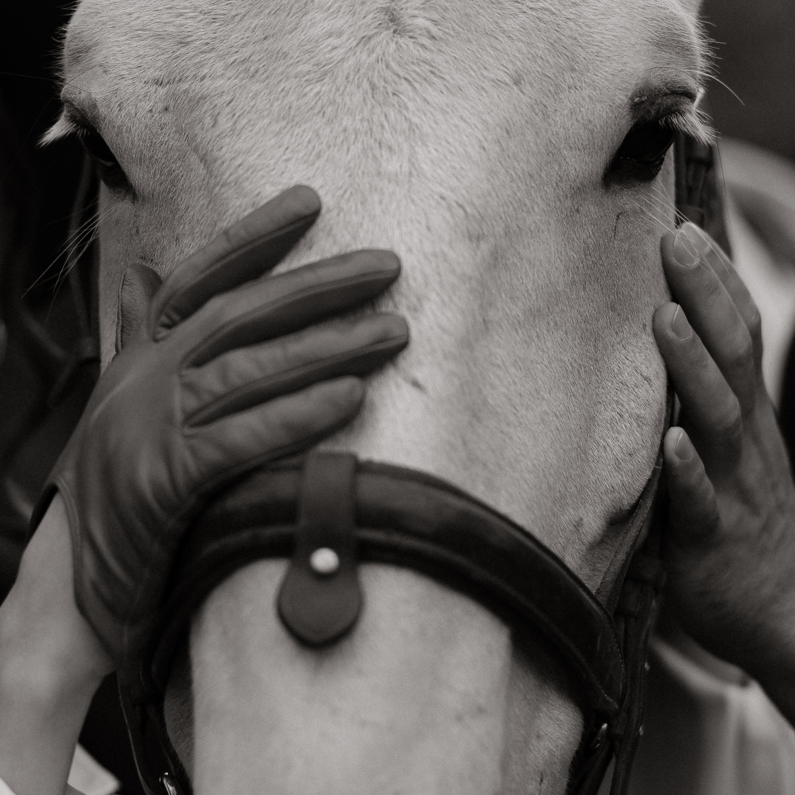 Александр и Кристина. Свадебный | Семейный фотограф