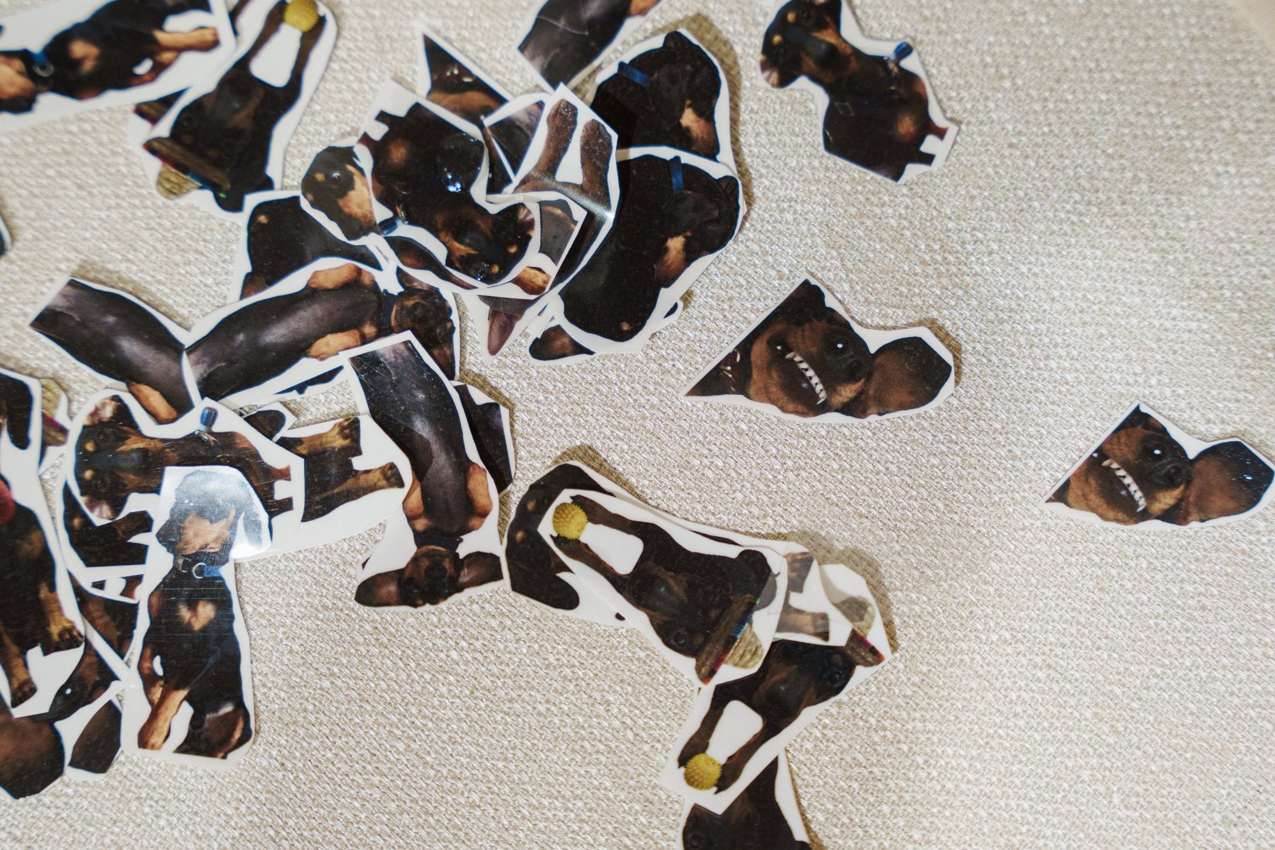 12.07 Юля и Влад. Свадебный организатор Екатеринбург