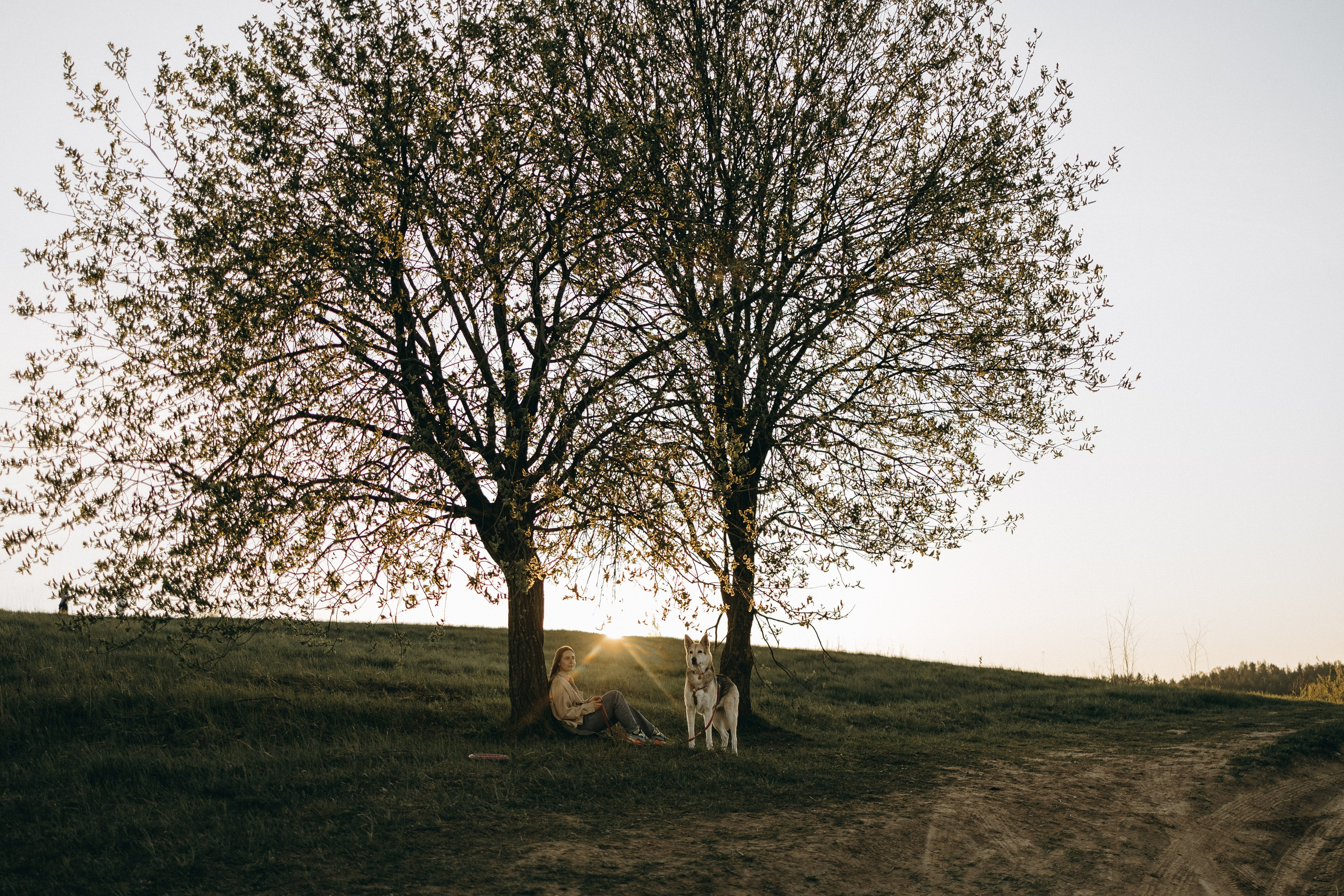Саша и Зельда. Фотограф — Анималист | Санкт-Петербург
