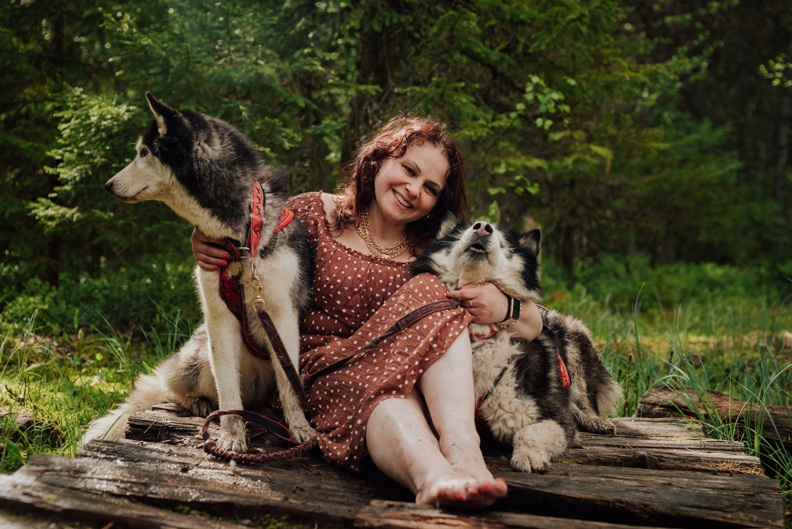 Догтрекинг. Фотограф в Санкт-Петербурге и Ленинградской области