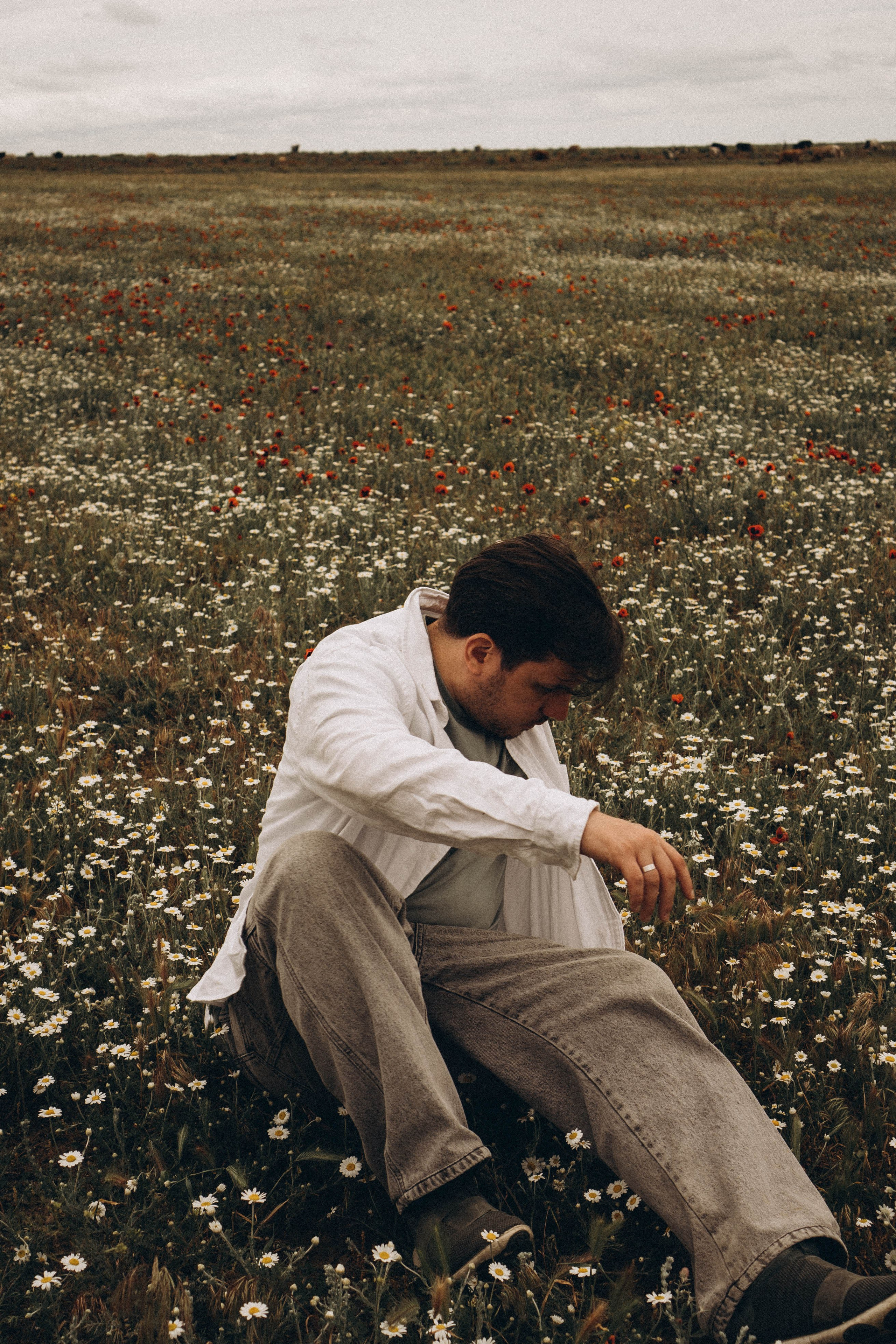 Маки. Профессиональный фотограф, Санкт-Петербург — Виктория Богомолова