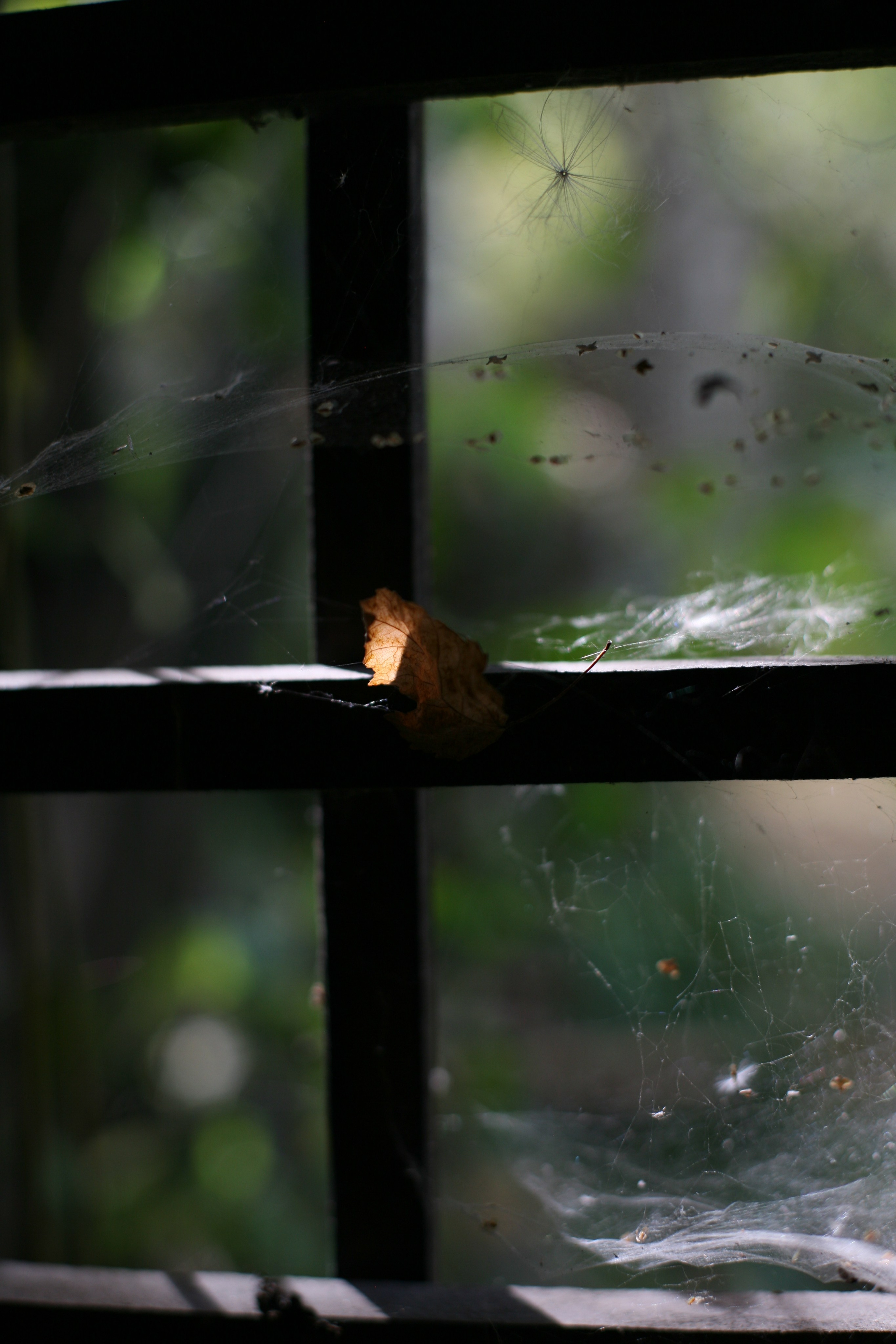 Ускользающее лето. АRТ&PSY | Искусство психологии