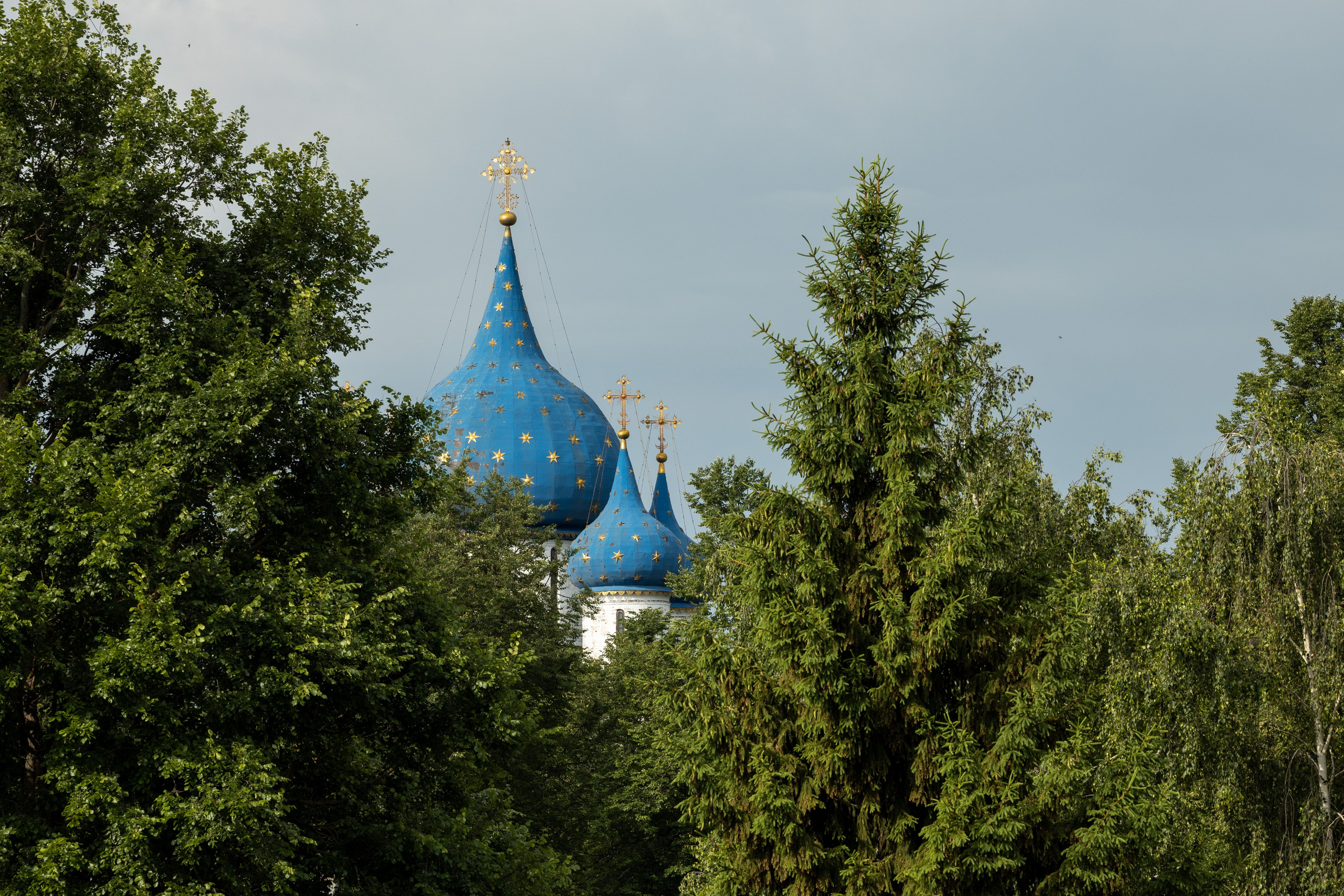 Природные пейзажи. Наталия Клевинскас портретный фотограф в Костроме