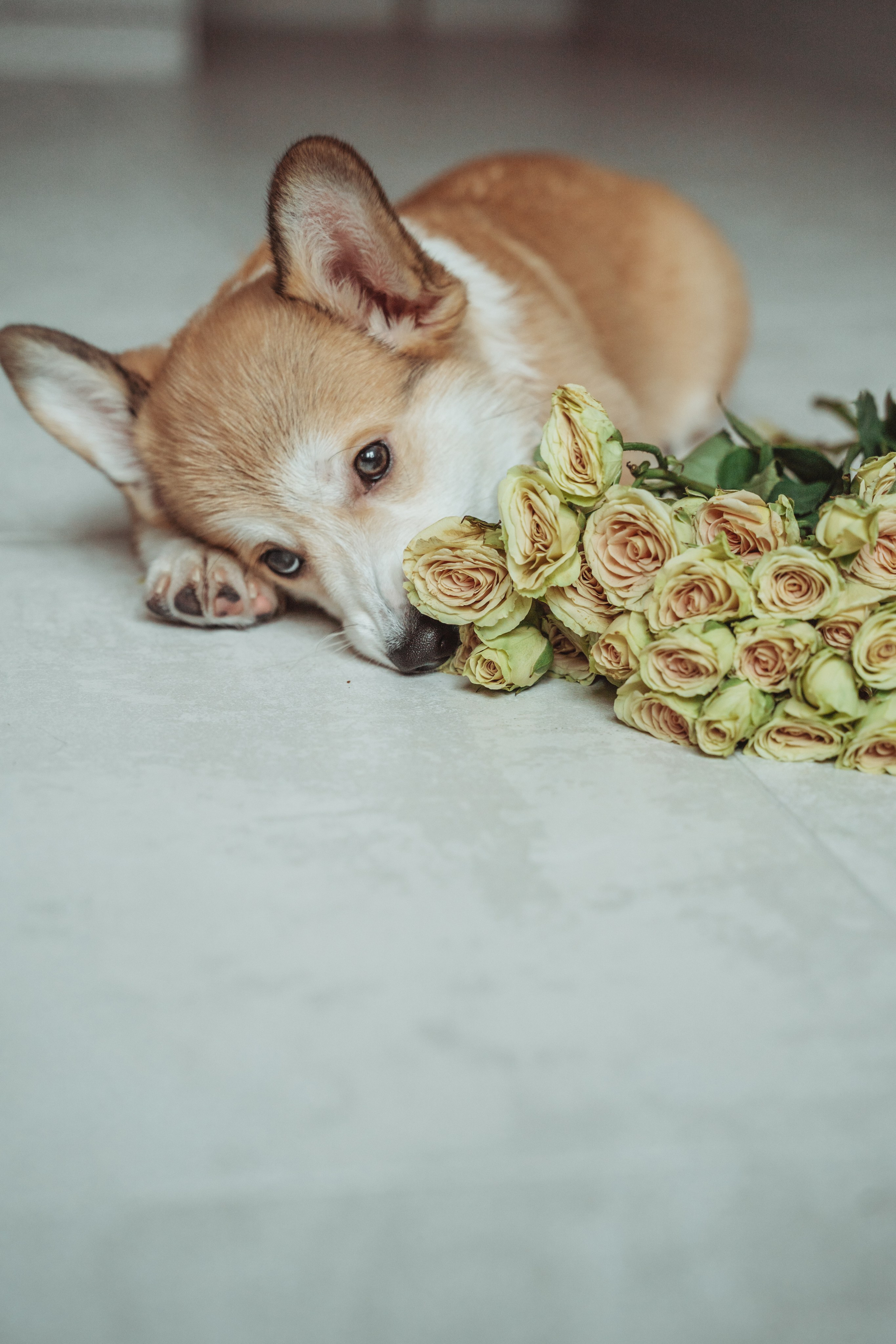 Портретный фотограф Санкт-Петербург. Свадебный, семейный, портретный, репортажный фотограф в Санкт-Петербурге