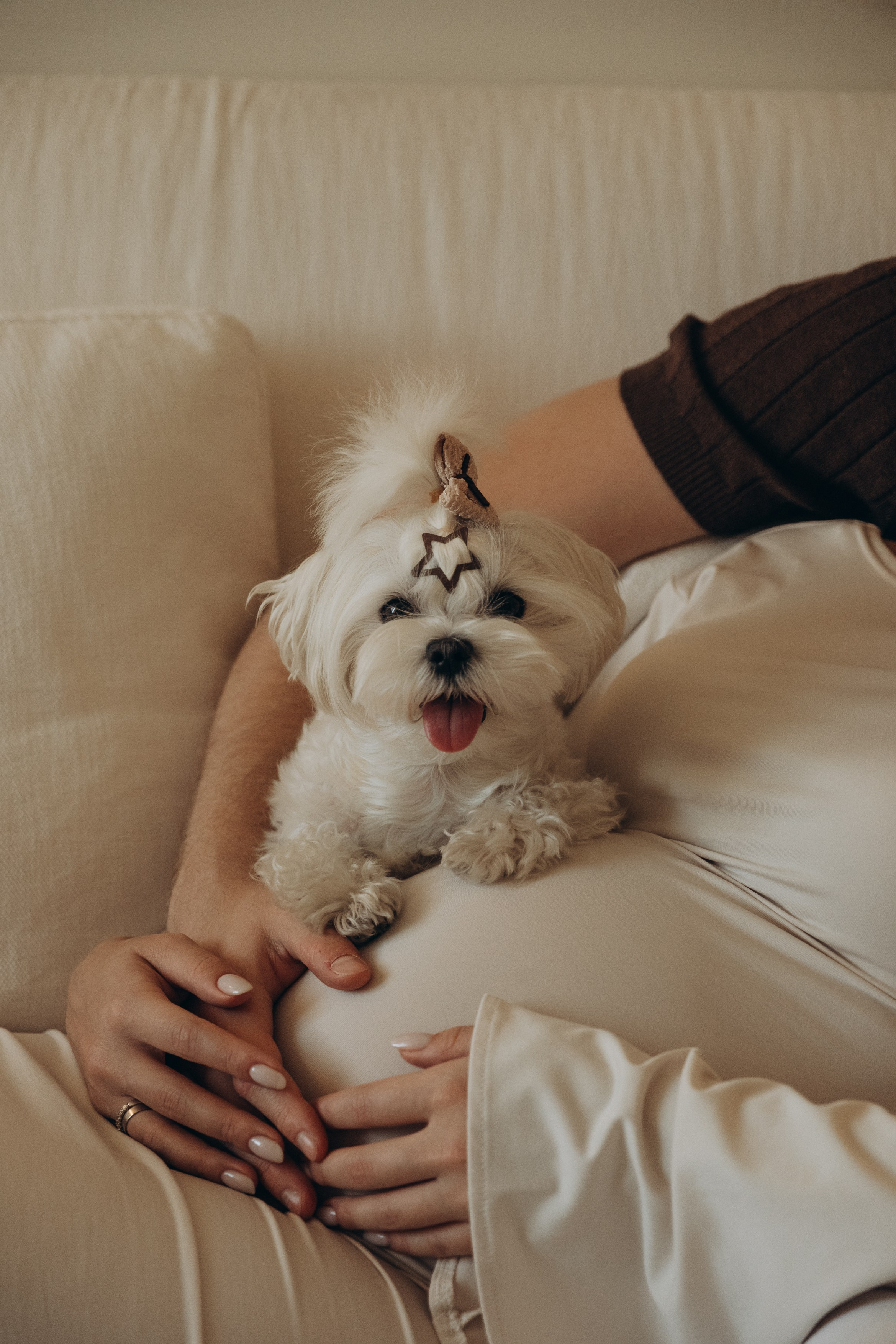 Фотосессия беременности|Москва. Фотограф|Москва — Агбаш Лера