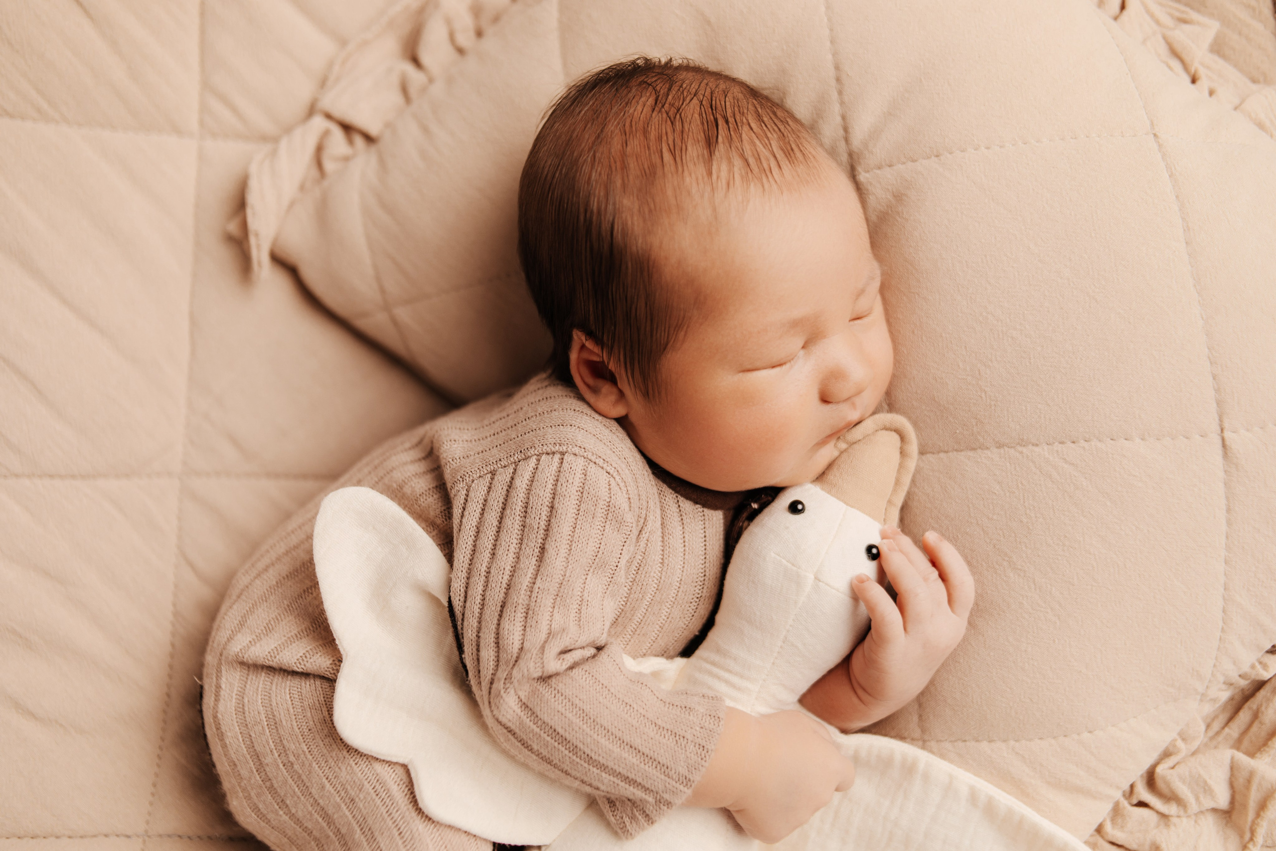 Семейный фотограф Томск. Фотограф новорождённых семейный фотограф Томск Елена Каплина