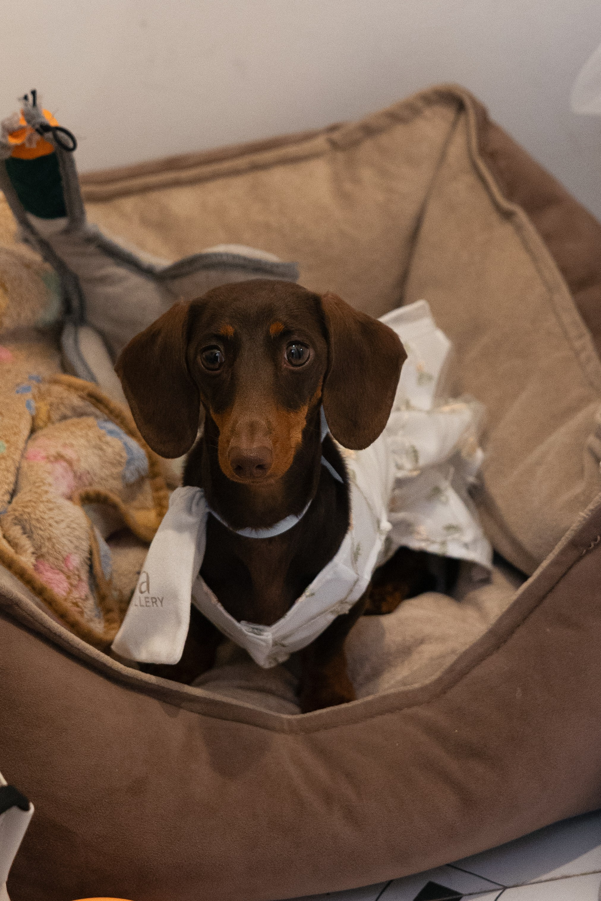 September. Wedding reels and photo