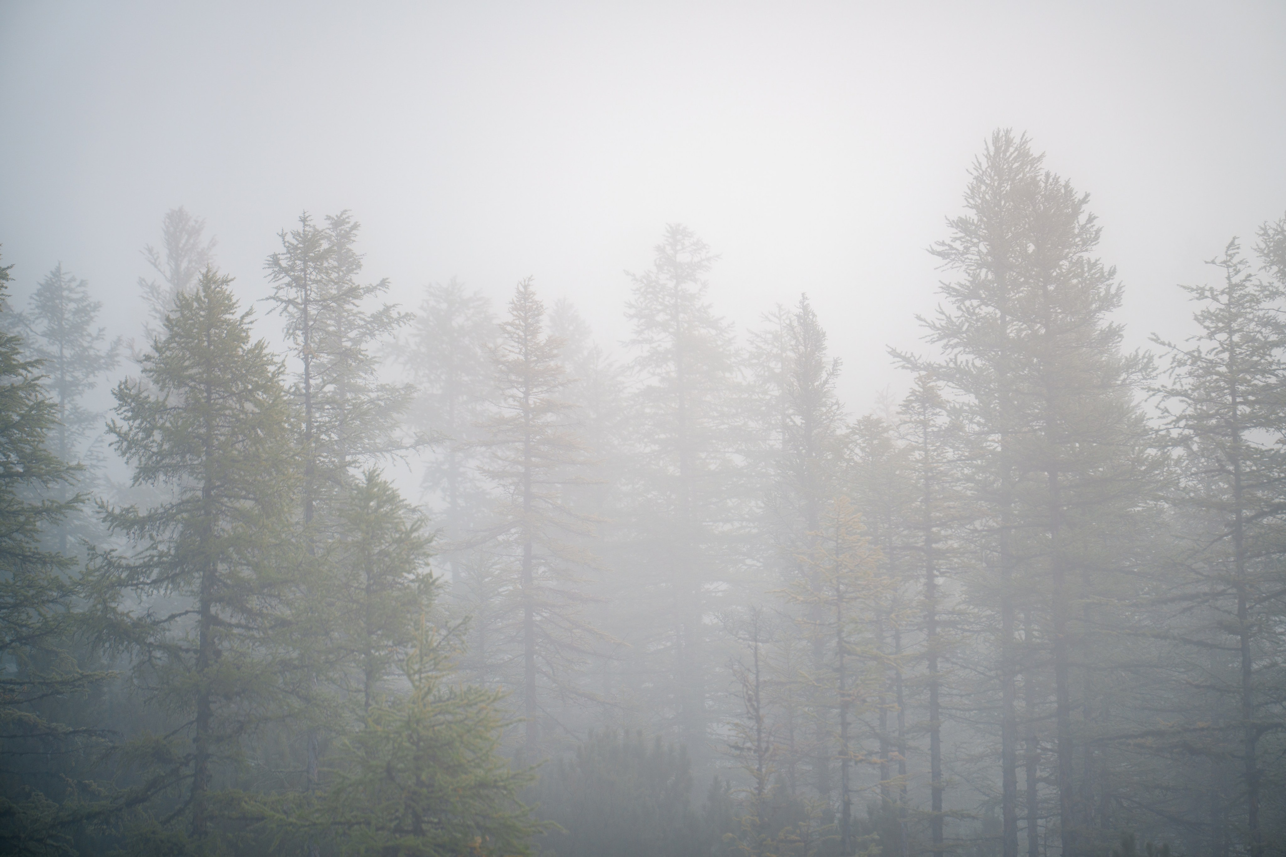 Неизвестная Колыма: Хетинские столбы и Эликчанские озера