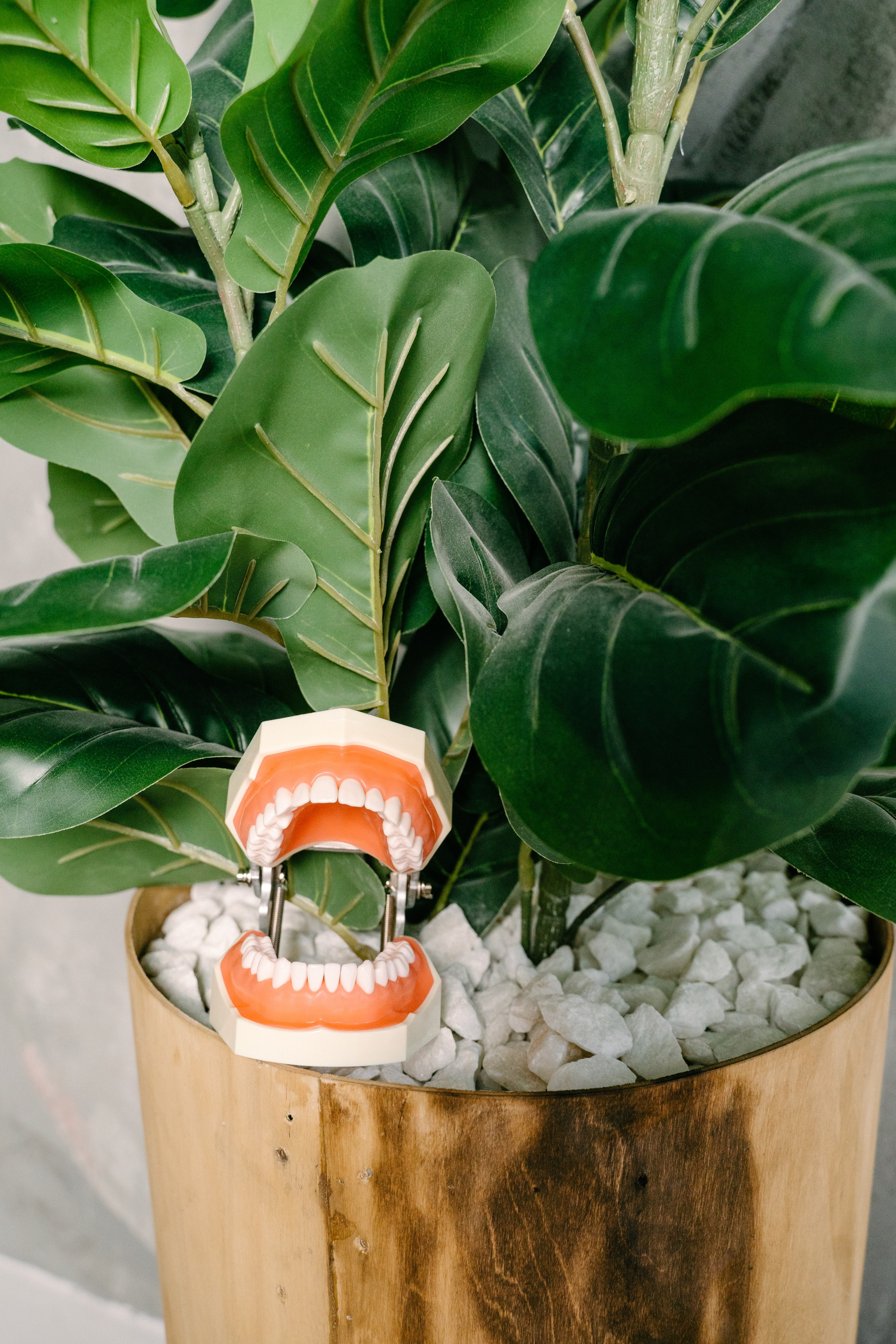 Контент стоматологу. Свадебный фотограф Юлия Копылова