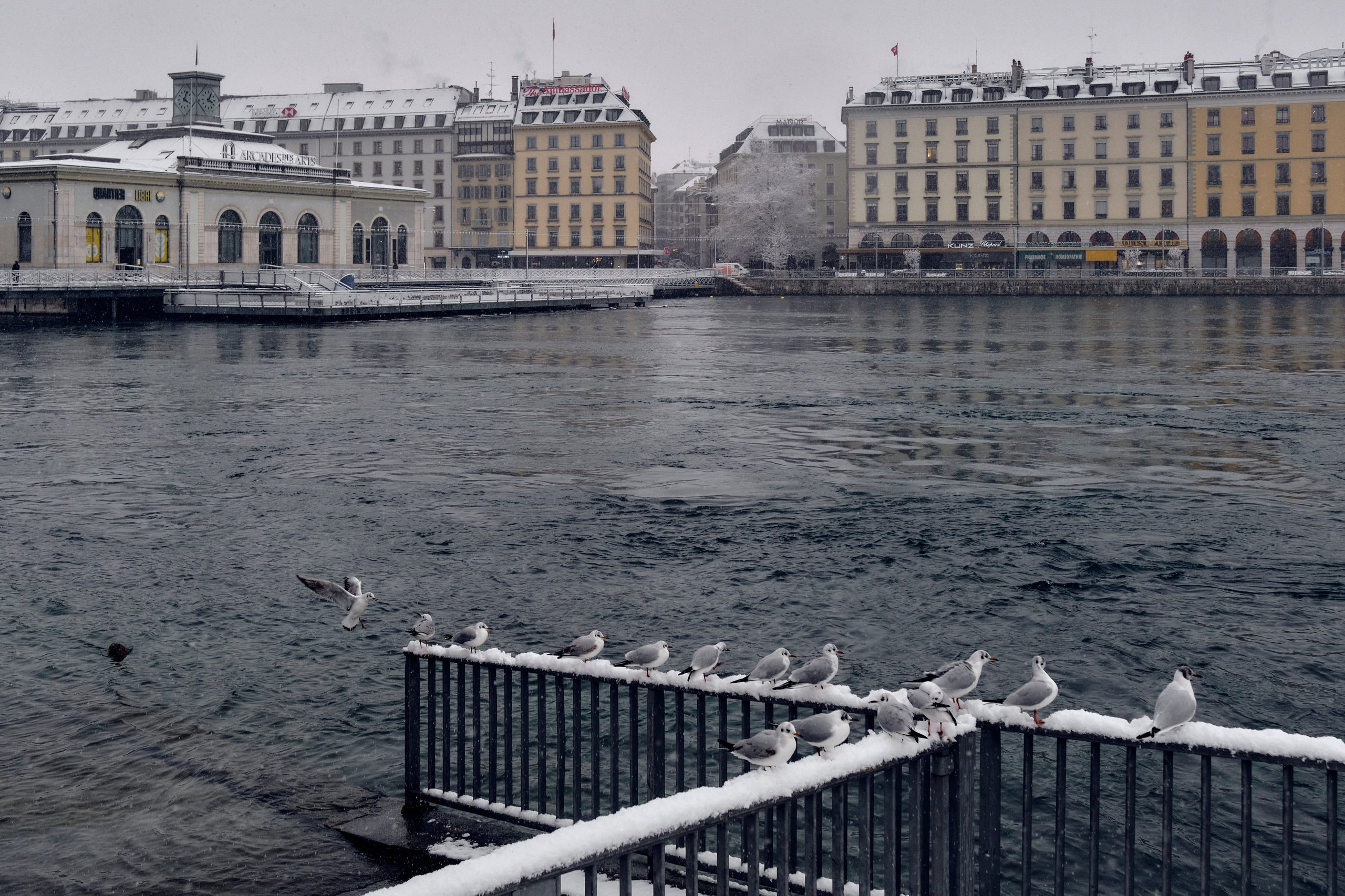 Geneva / winter 2024. Aleksandr Kobtsev