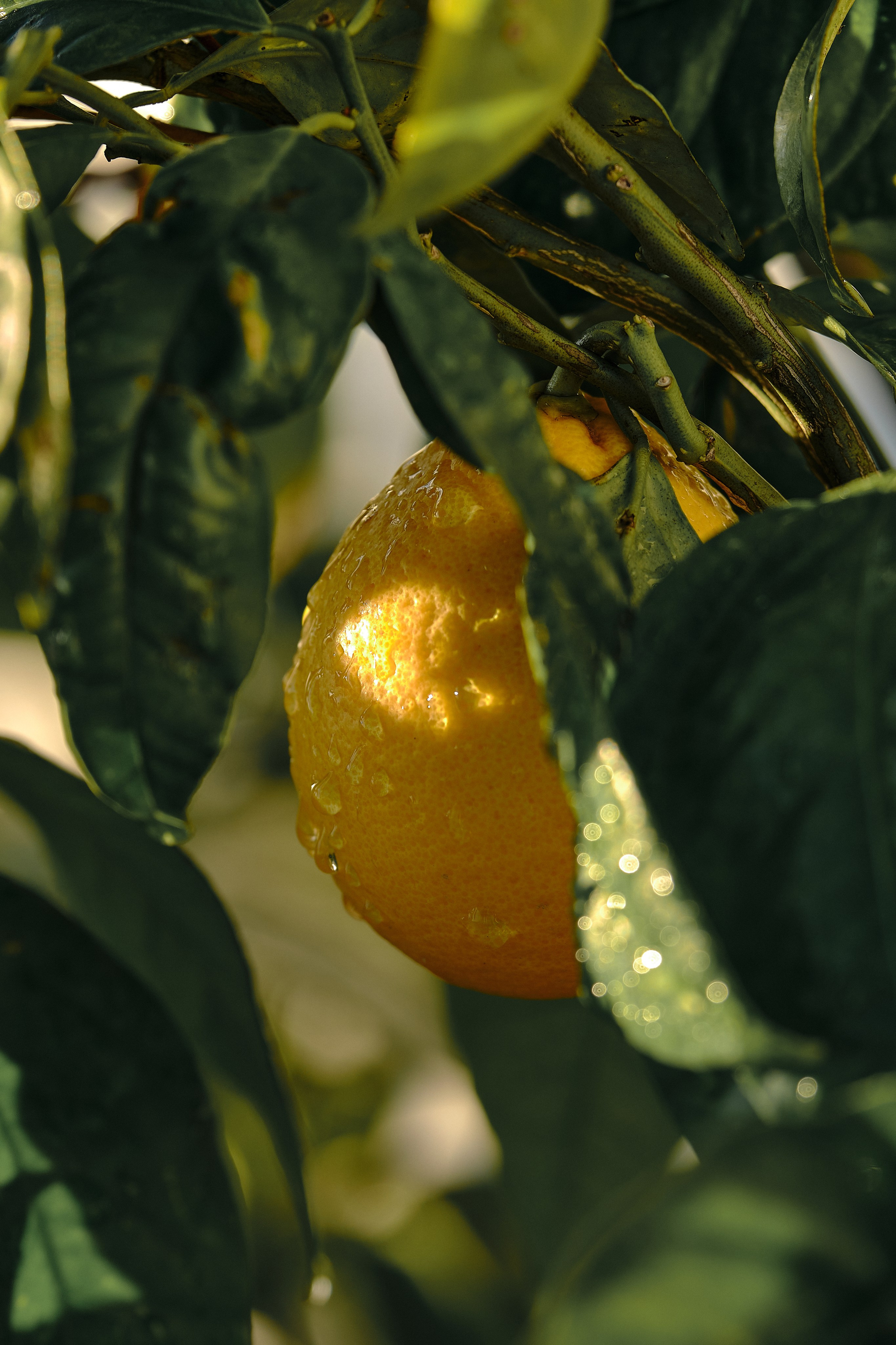 Cyprus / 2023. Aleksandr Kobtsev