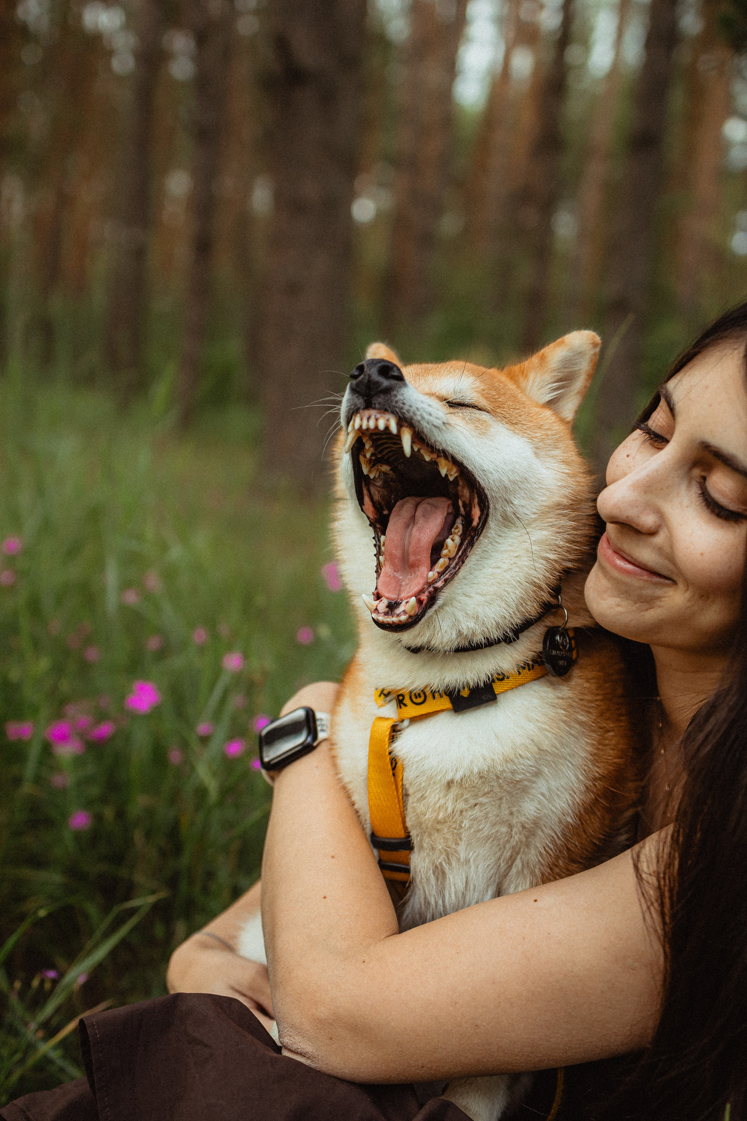 Выездной дог-тренинг от школы «Шерсть имею»