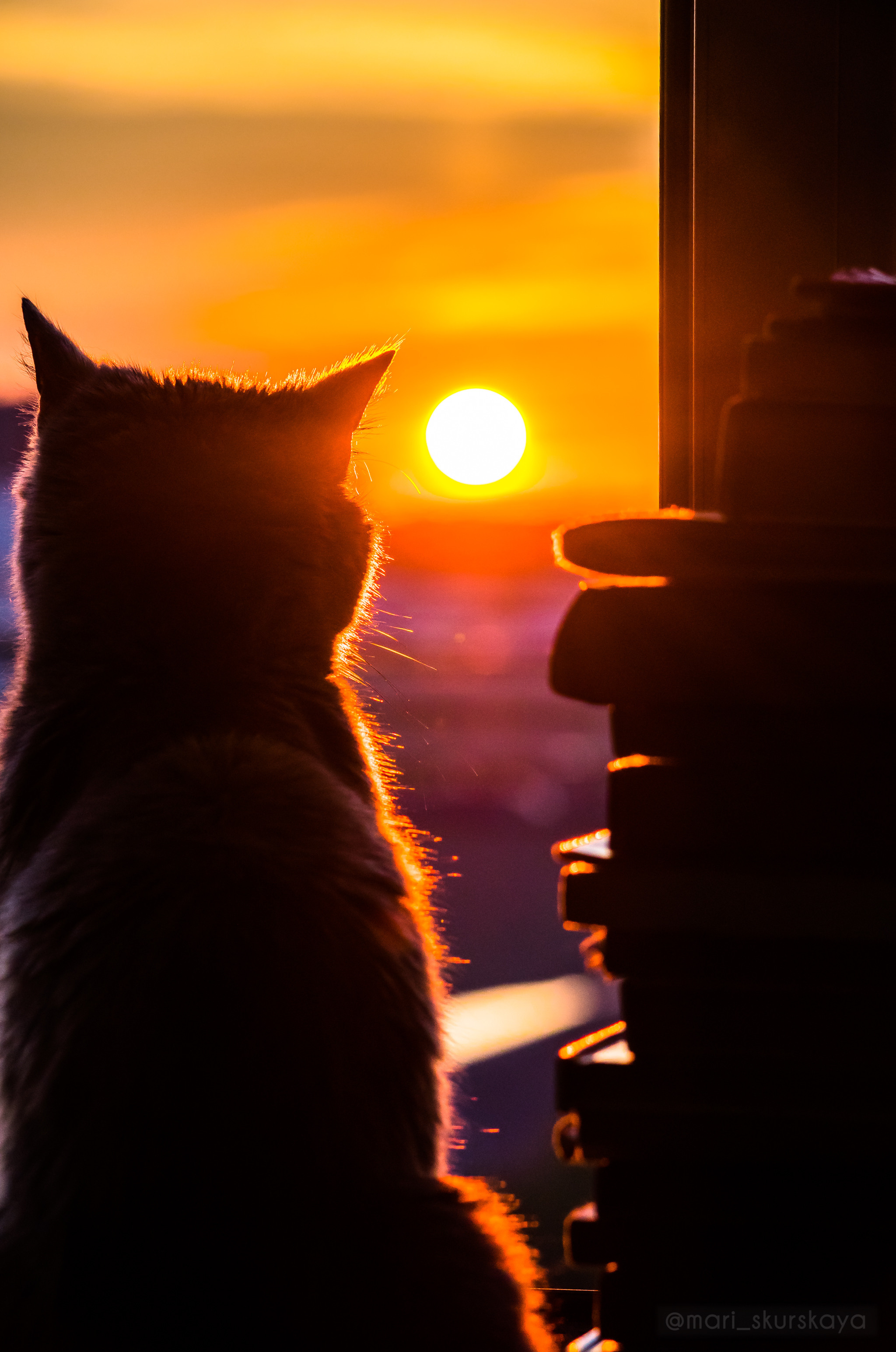Закатный Санкт-Петербург. Мотофотограф в Санкт-Петербурге Мария Скурская