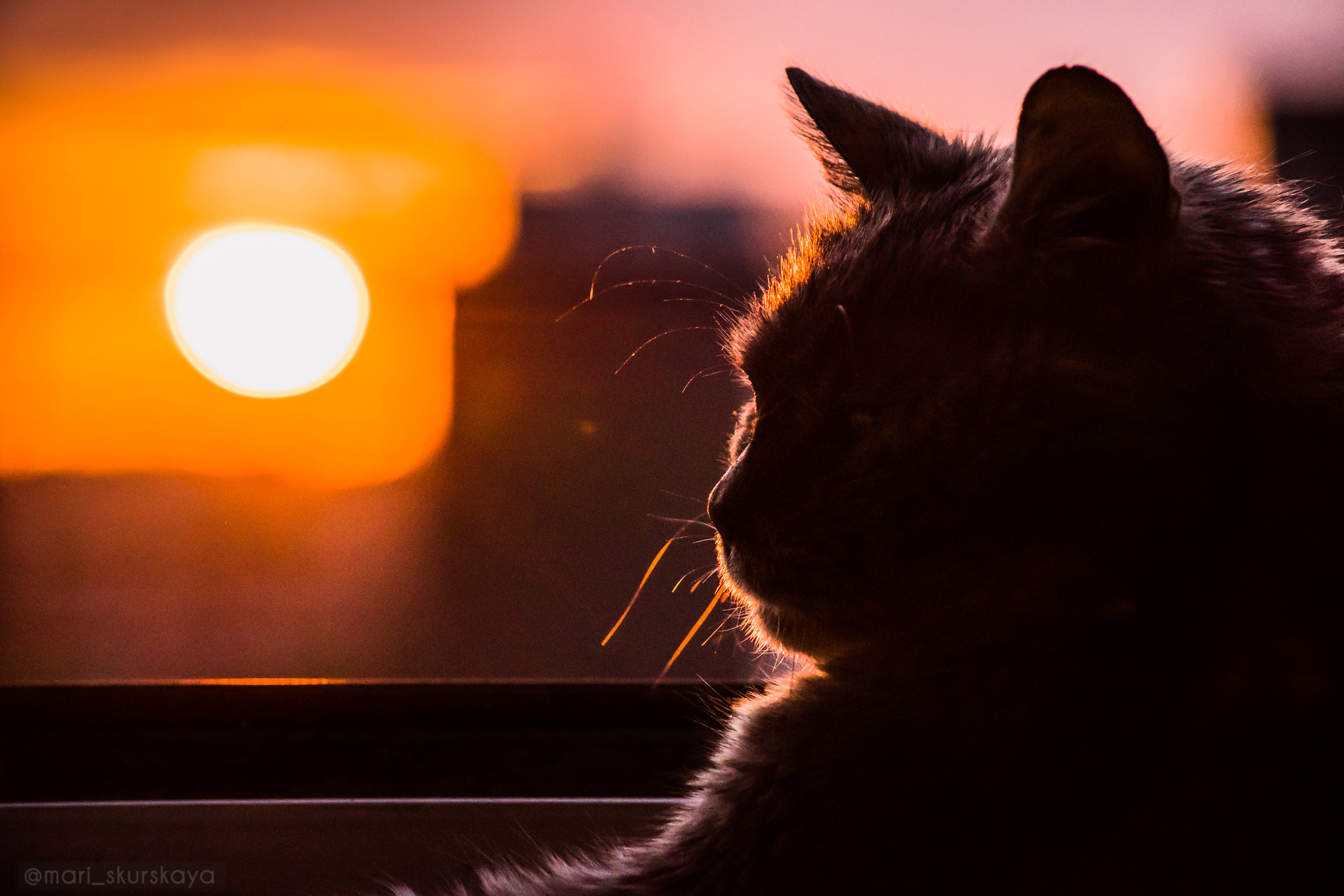 Закатный Санкт-Петербург. Мотофотограф в Санкт-Петербурге Мария Скурская