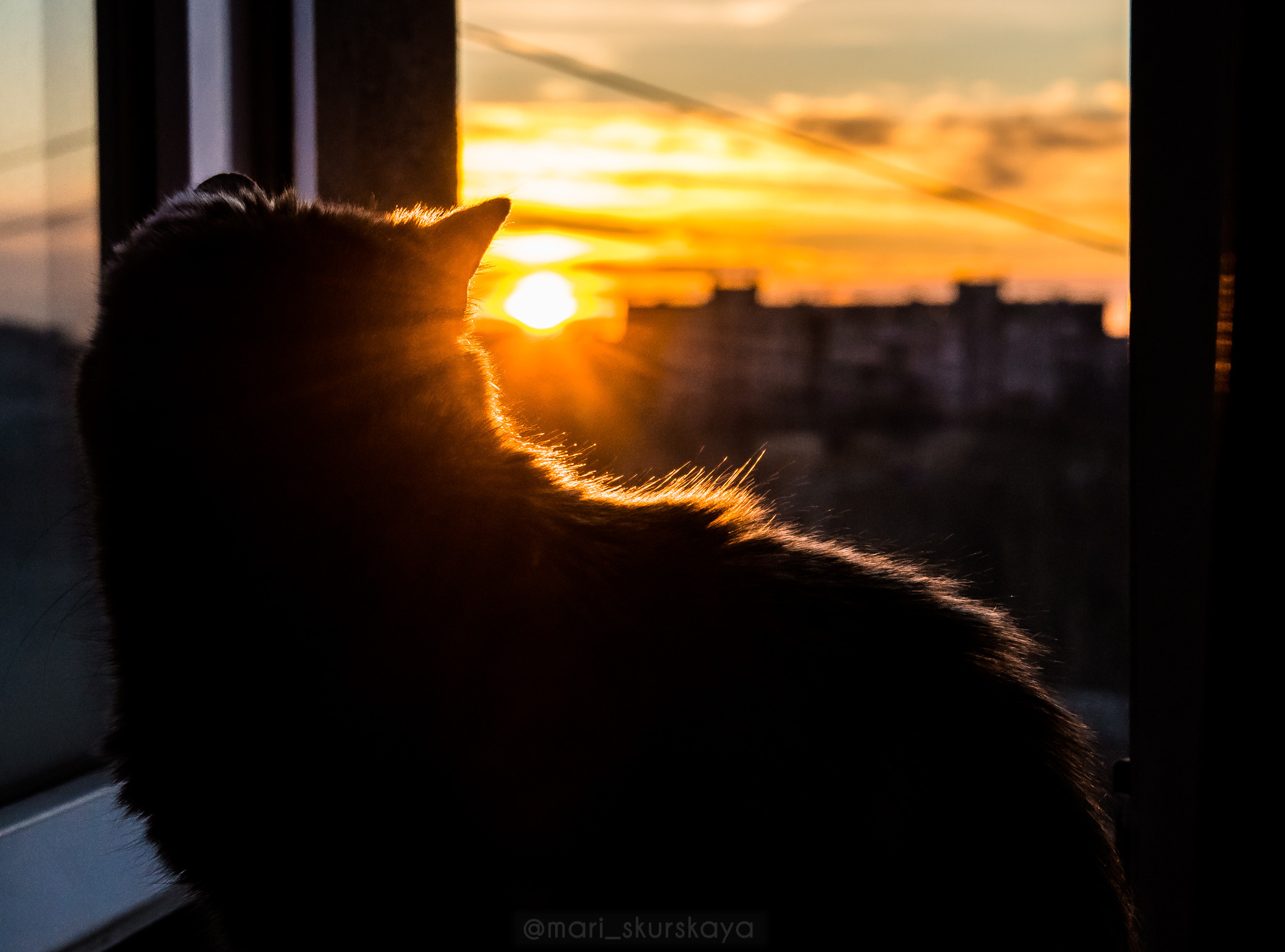 Закатный Санкт-Петербург. Мотофотограф в Санкт-Петербурге Мария Скурская