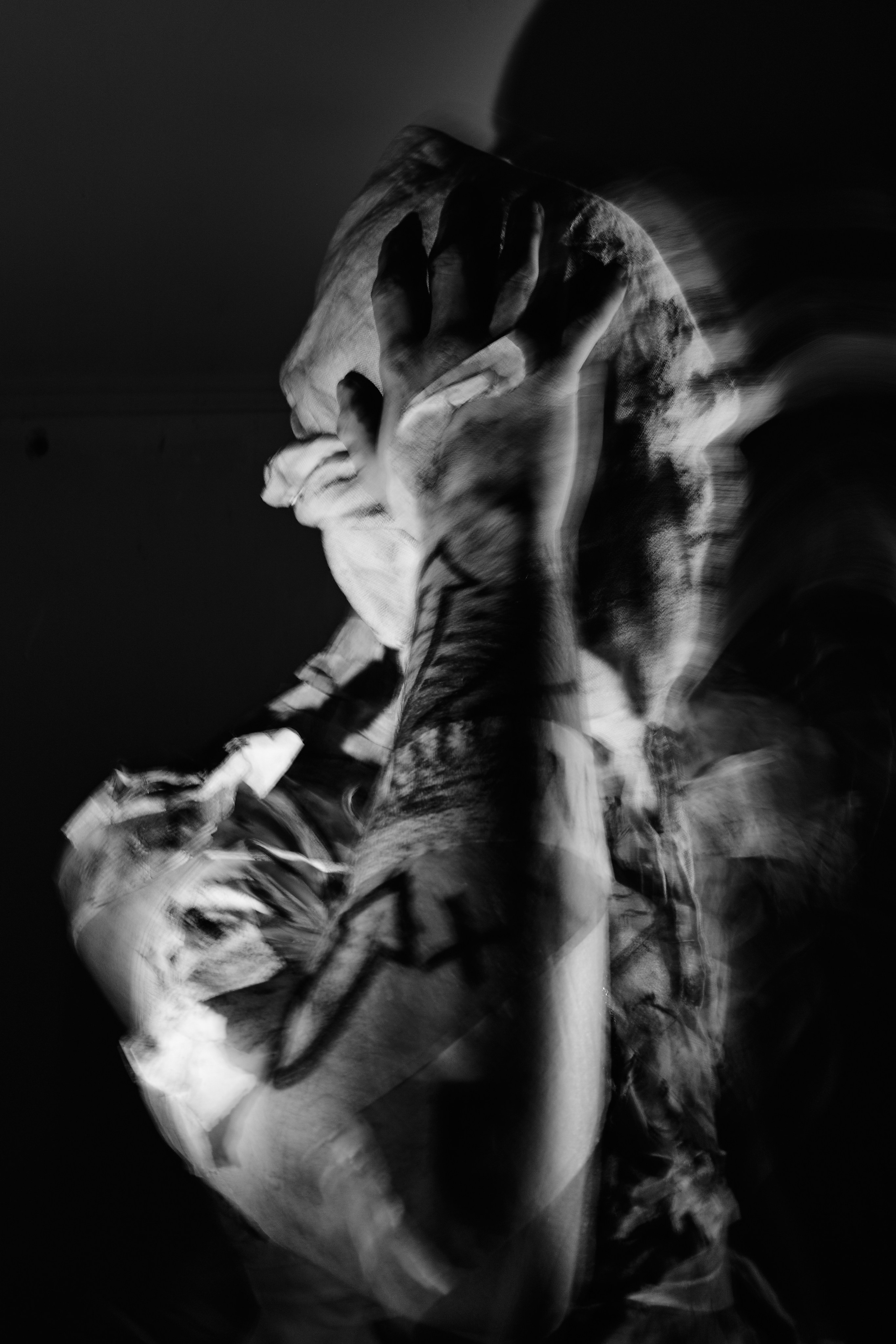 Арт-проект «Гнилой разум»