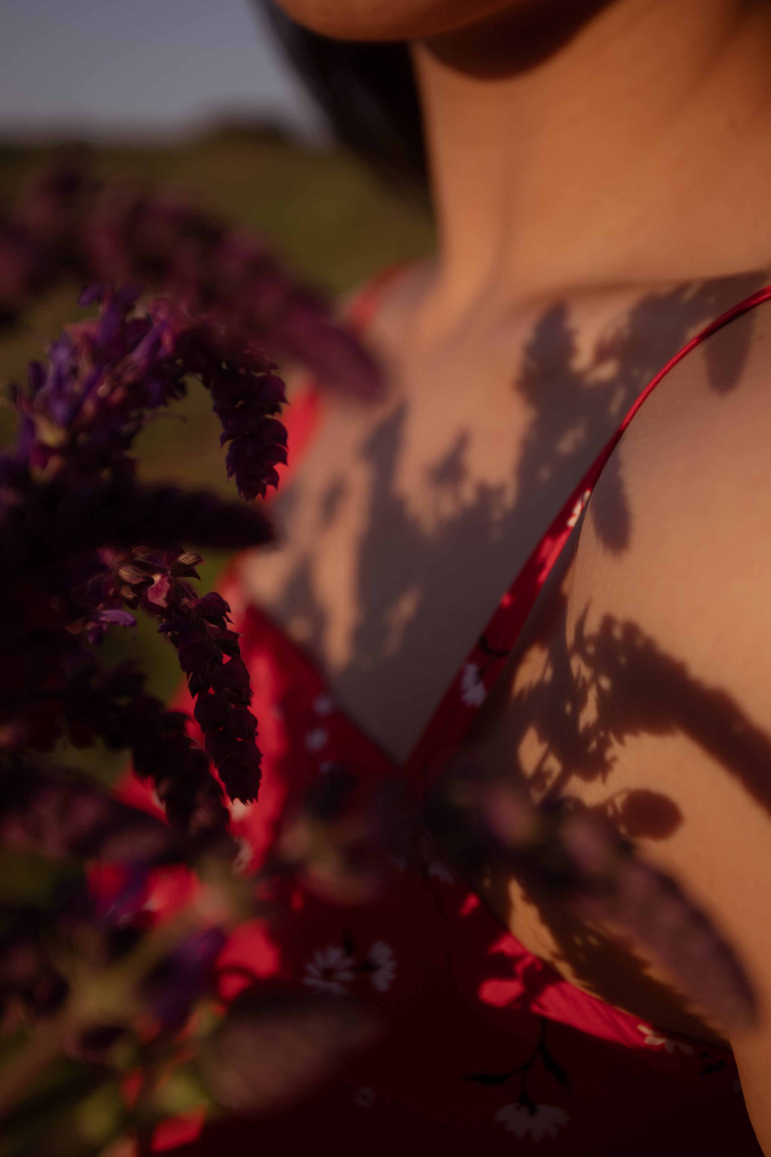 Летний закатный вечер с Ремой. Свадебный фотограф Элина Чу, Элиста Калмыкия