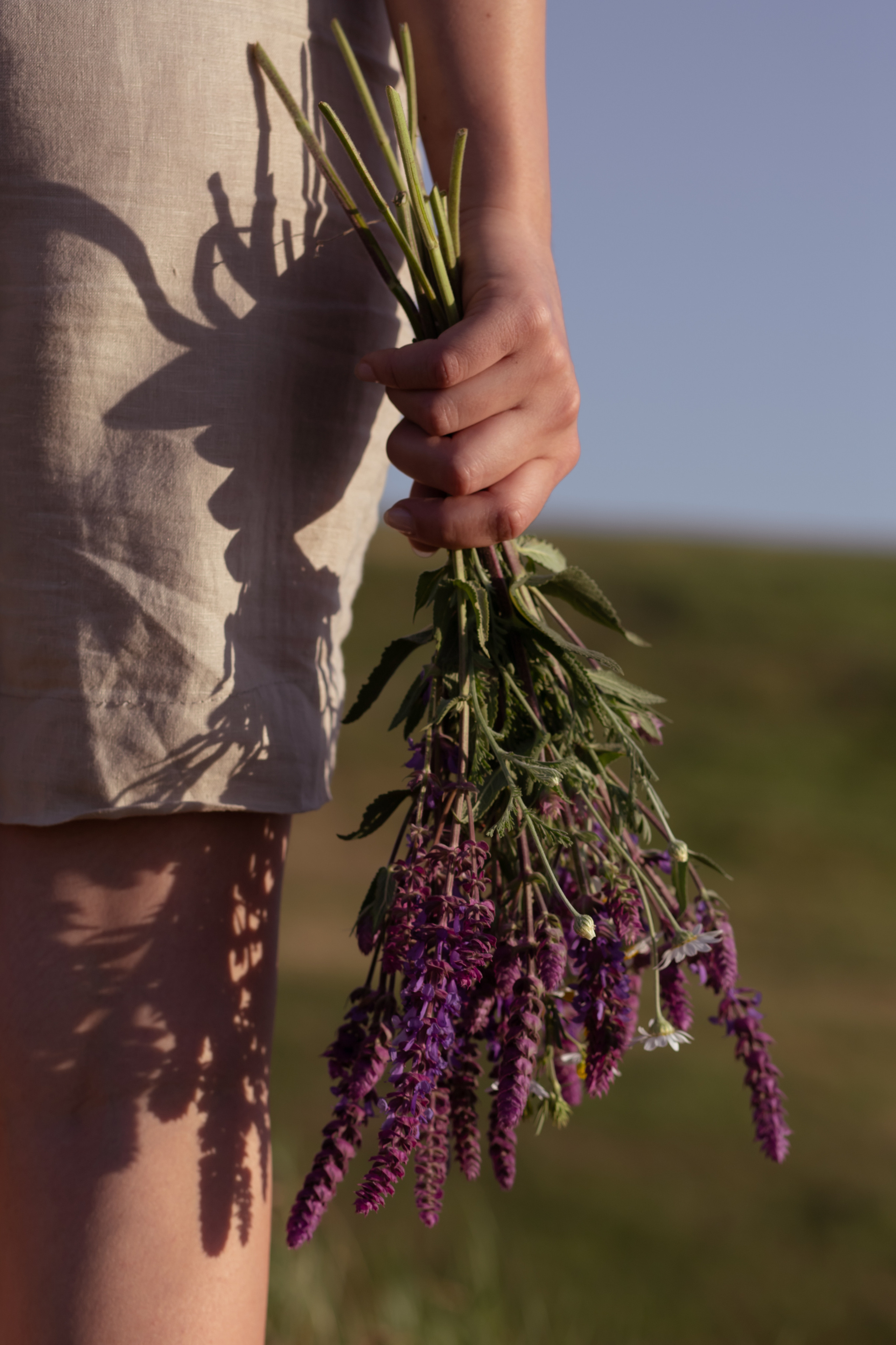 Летний закатный вечер с Ремой. Свадебный фотограф Элина Чу, Элиста Калмыкия