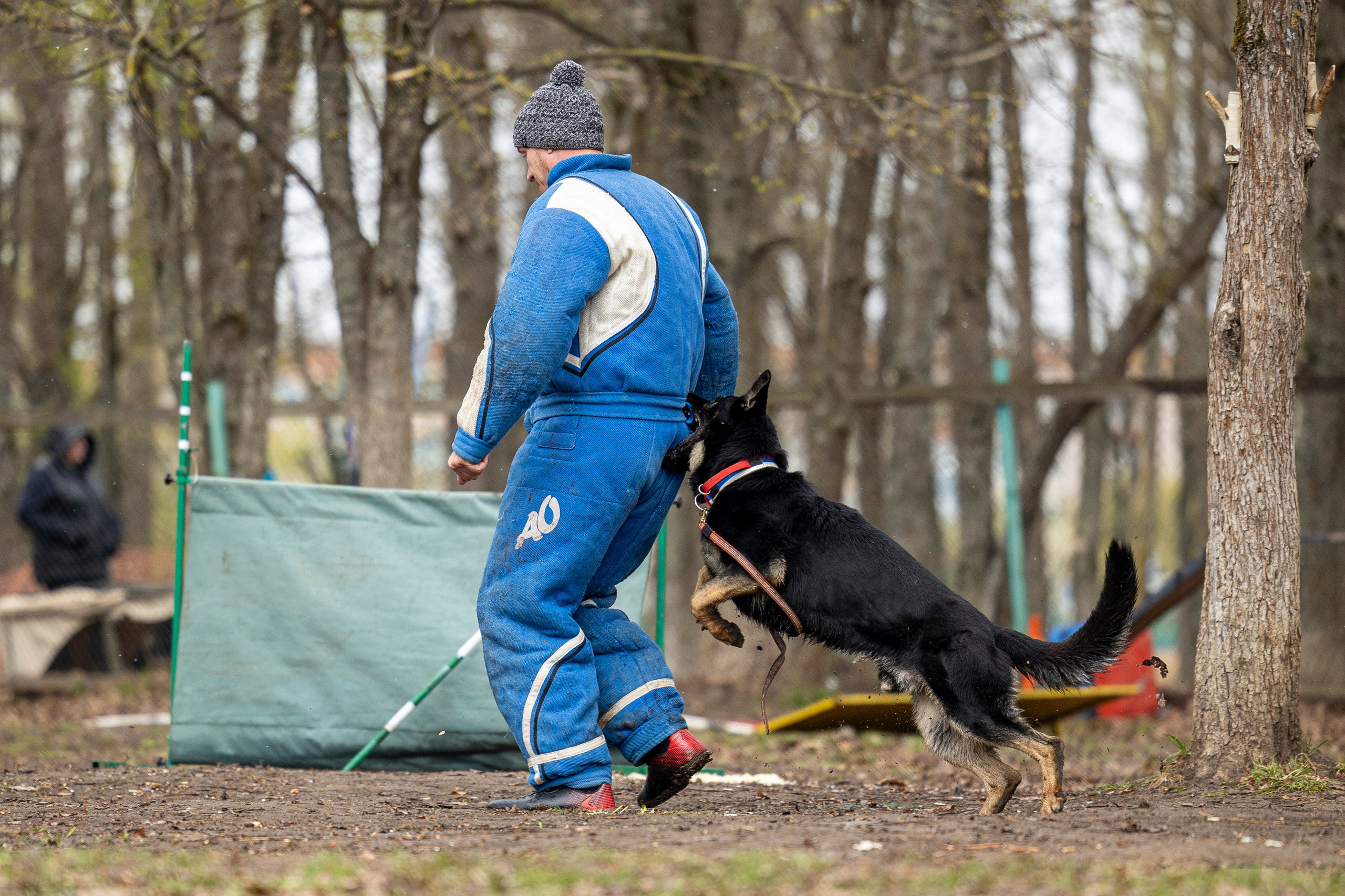 Квалификационные состязания по мондьорингу г. Вологда 11.05.24. Фотограф-анималист Анна Маринич