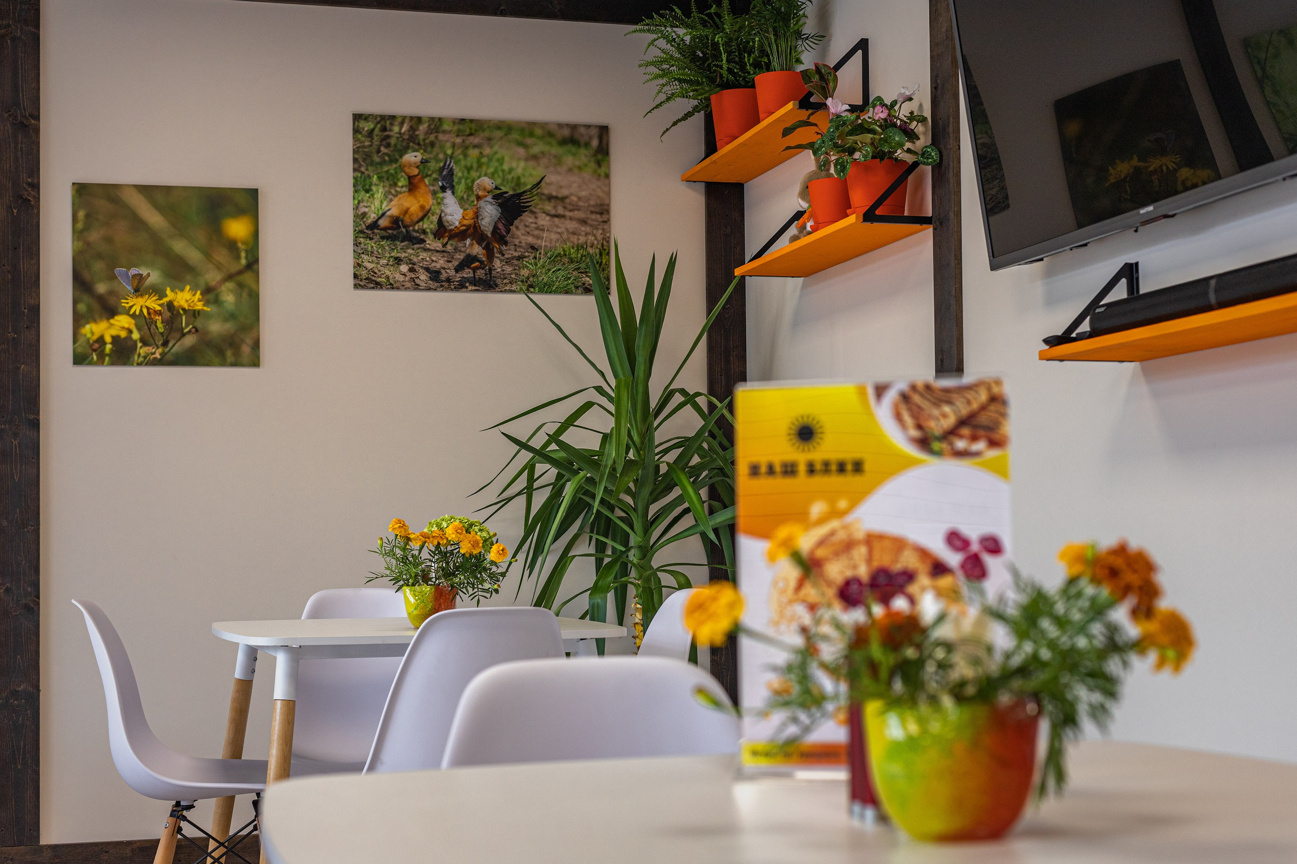 Достижения. Константин Дем | Фотограф