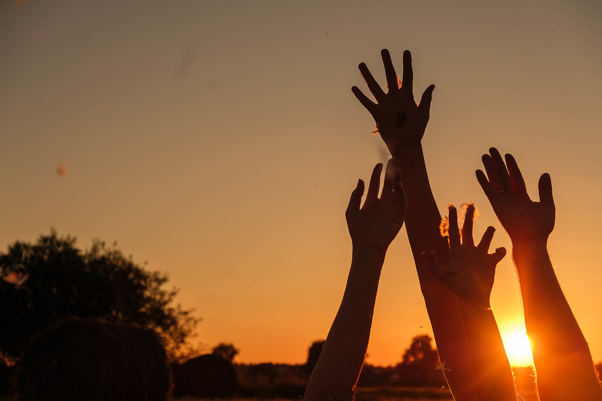 романтическая фотосессия на закате