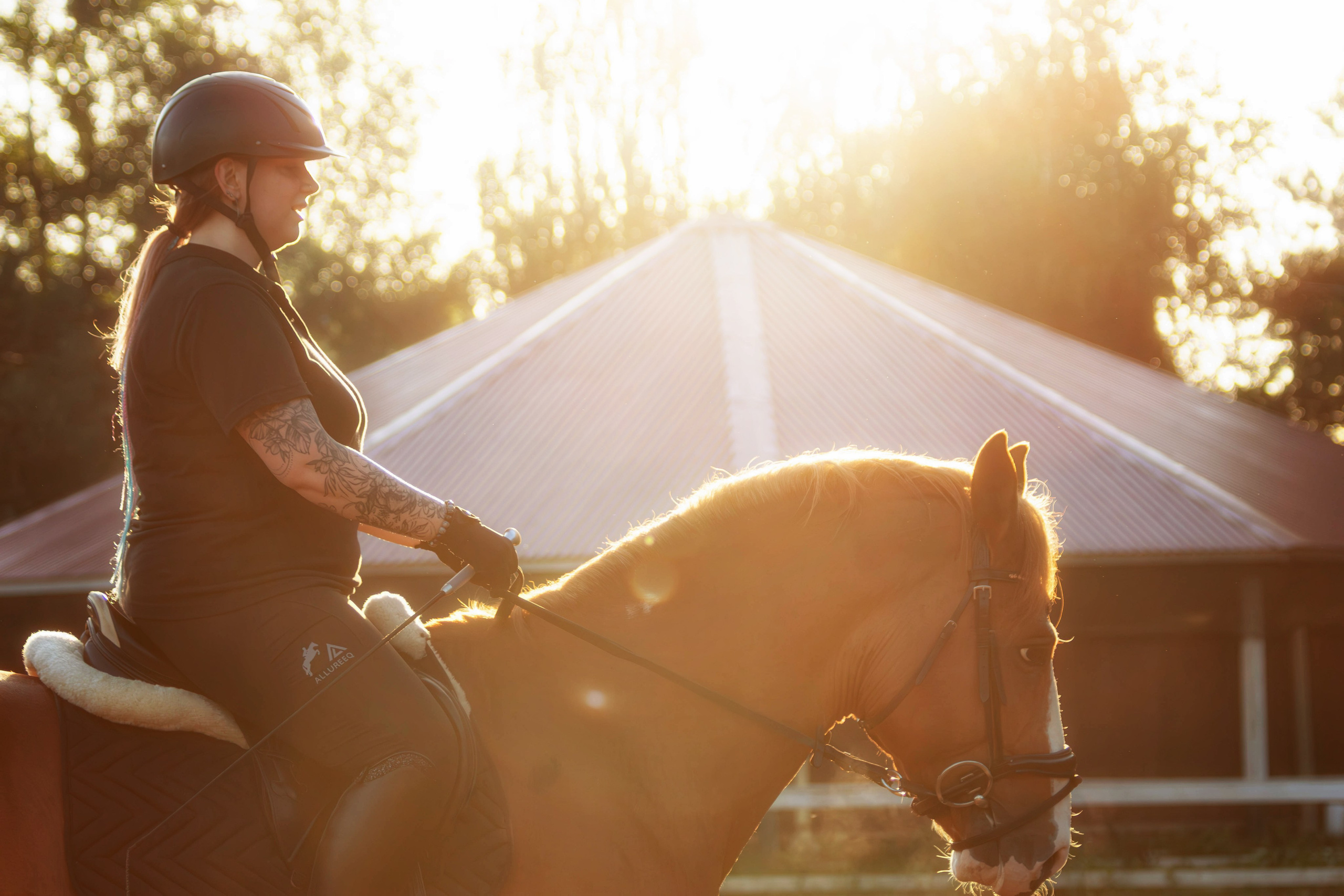 Таисия и Камелот. Фотограф анималист — Тула, Москва
