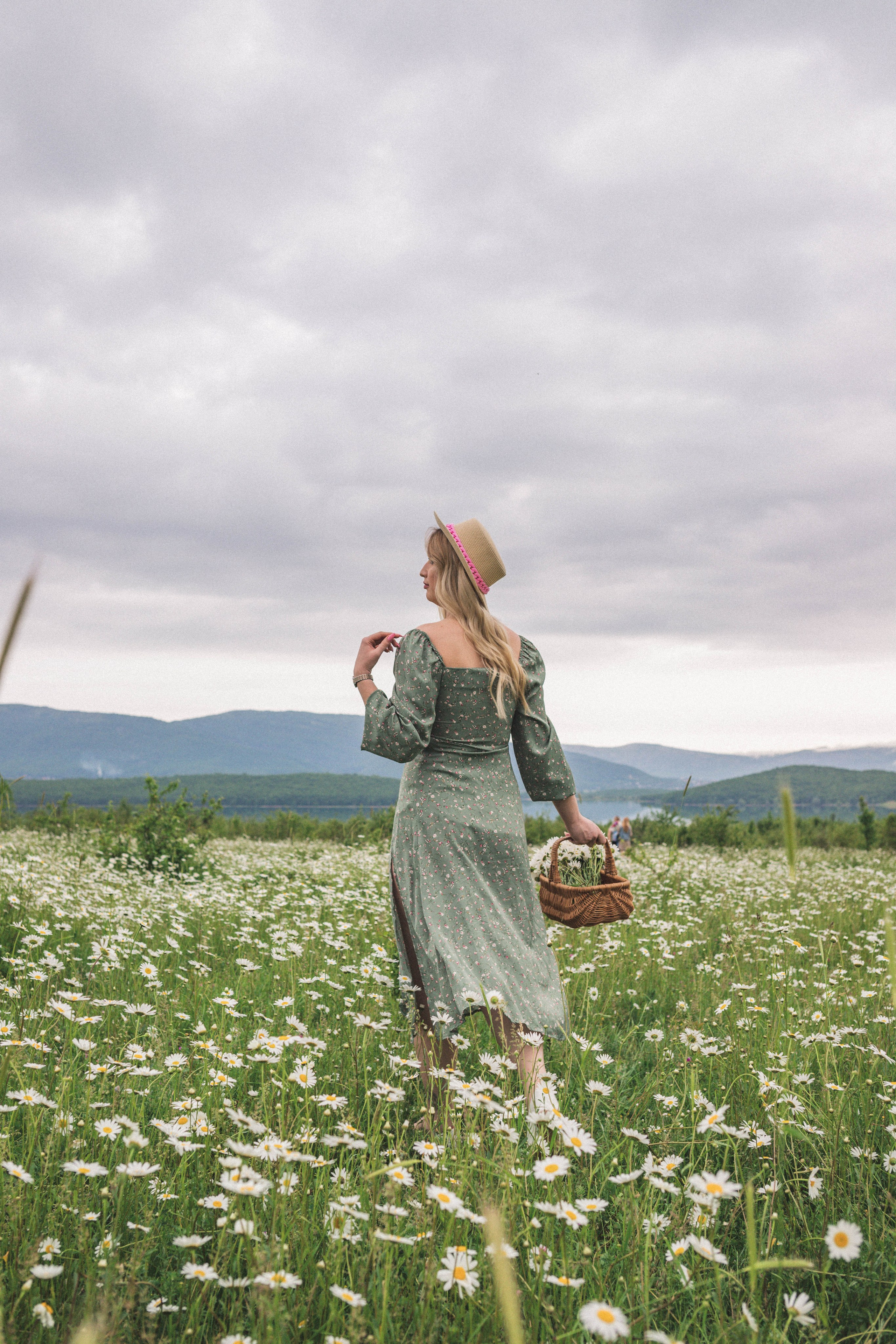 РОМАШКИ. Фотограф Немазенко Ольга