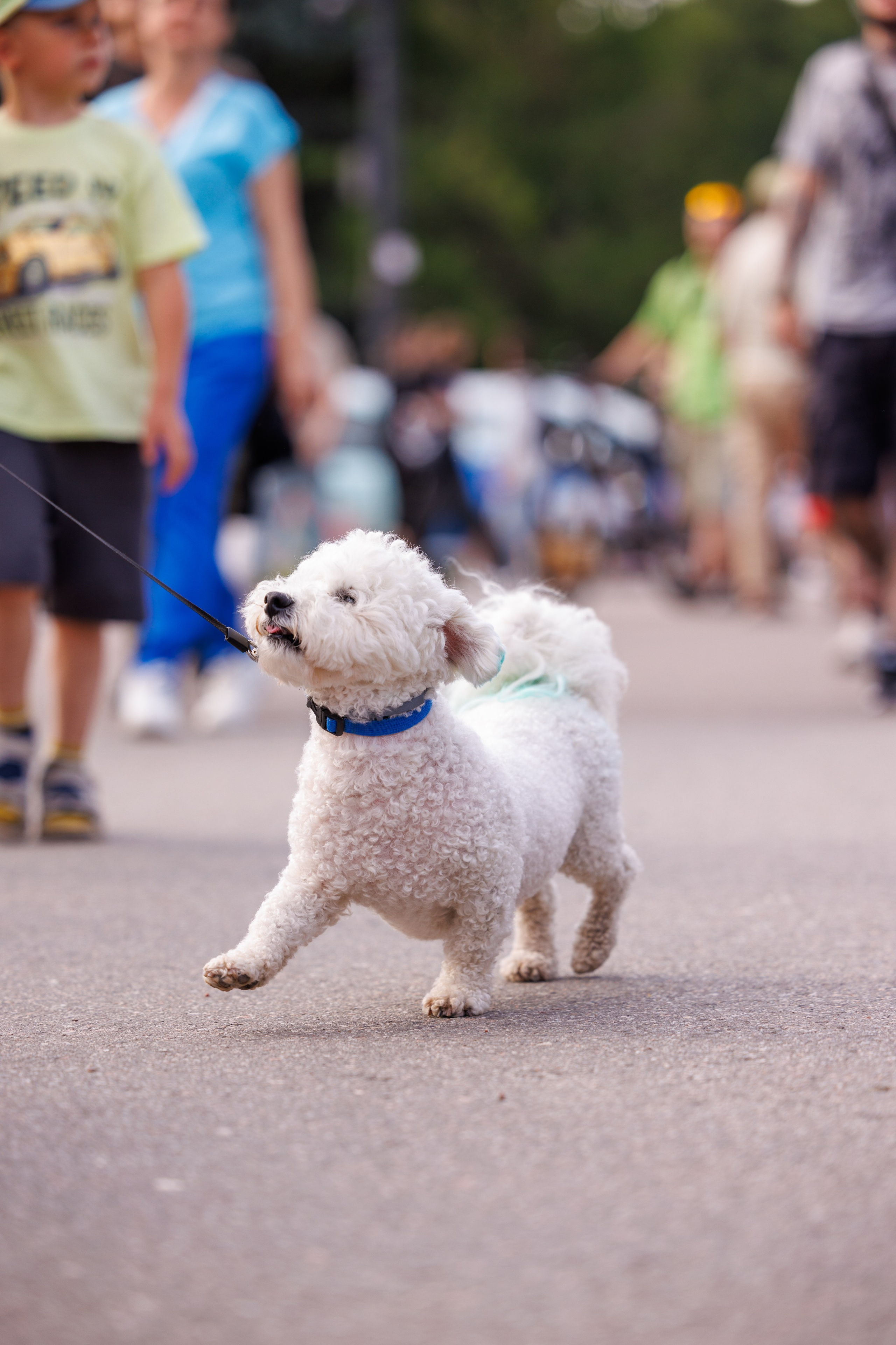 PetShopDays2026. Фотограф Александр Заломаев