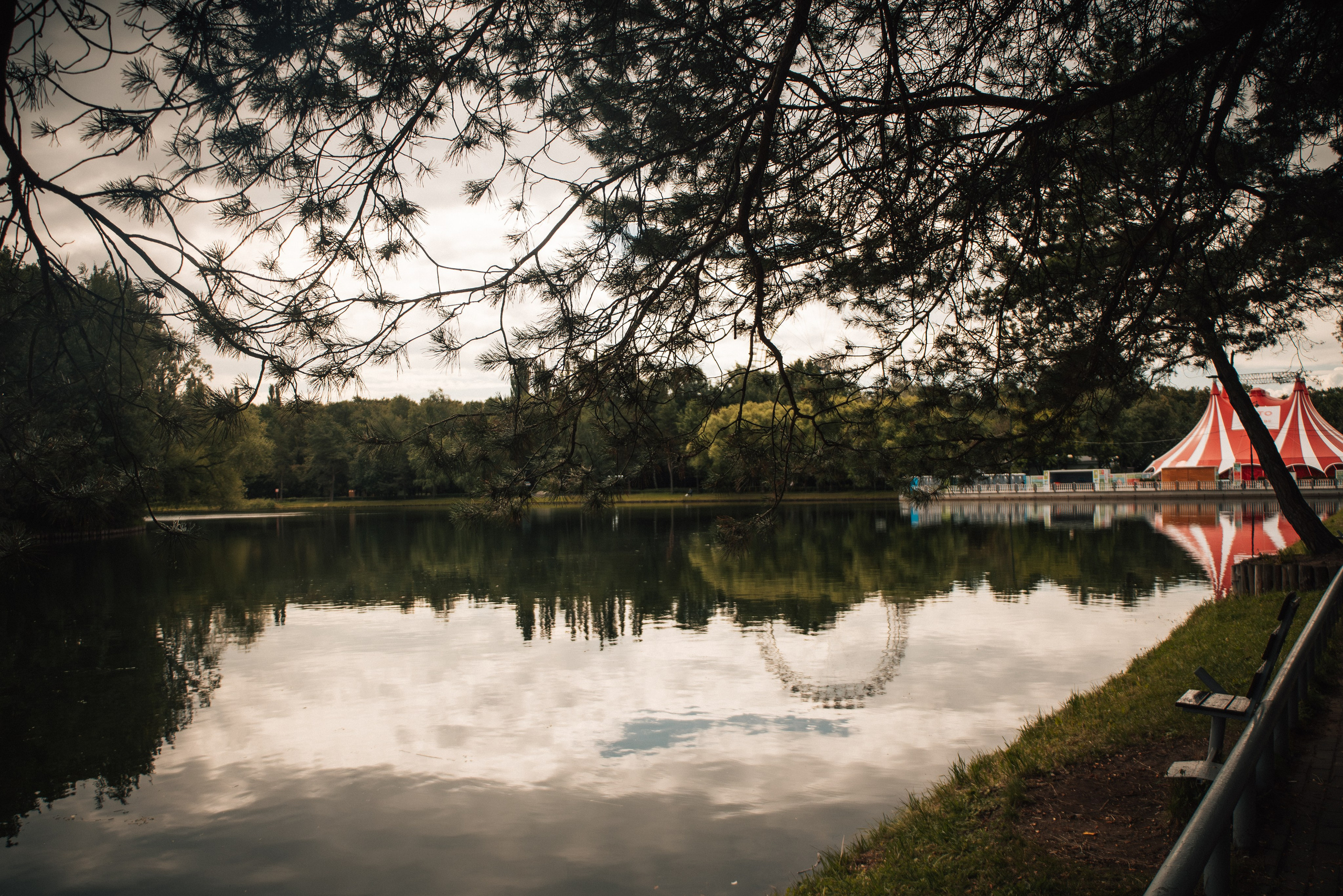 Прогулочная фотосессия девушки в парке с собакой самоедом. Фотограф-анималист в Москве Екатерина Тихонова