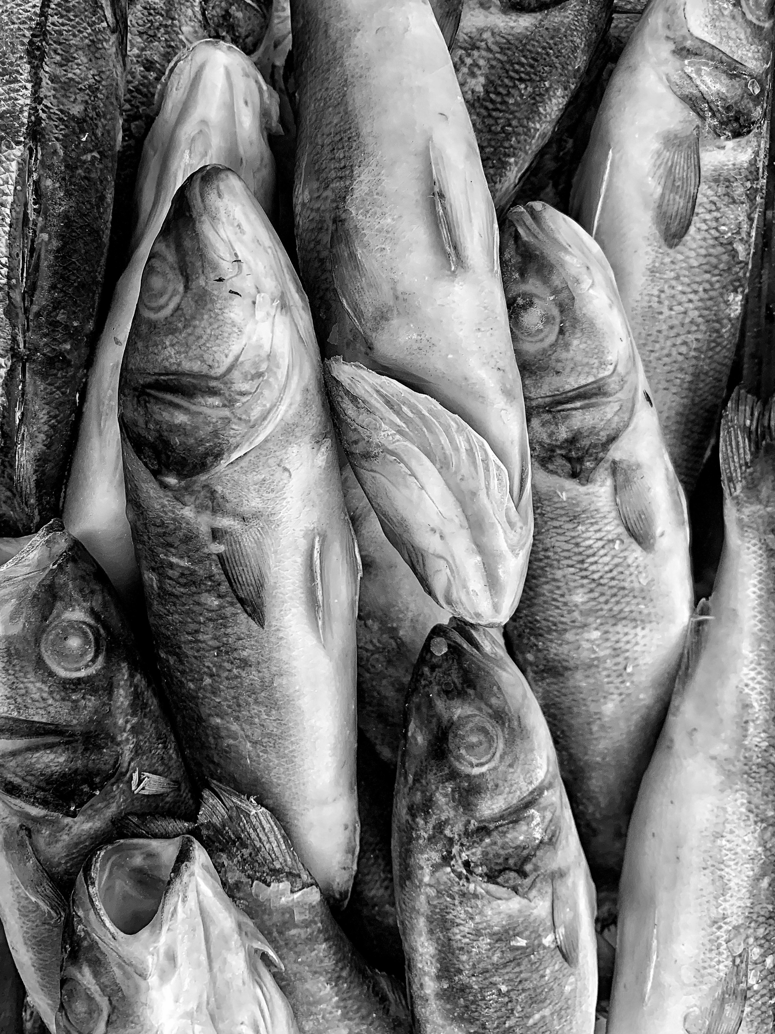 2022. Тащилин Сергей. Фотографии. Жизнь. Хобби