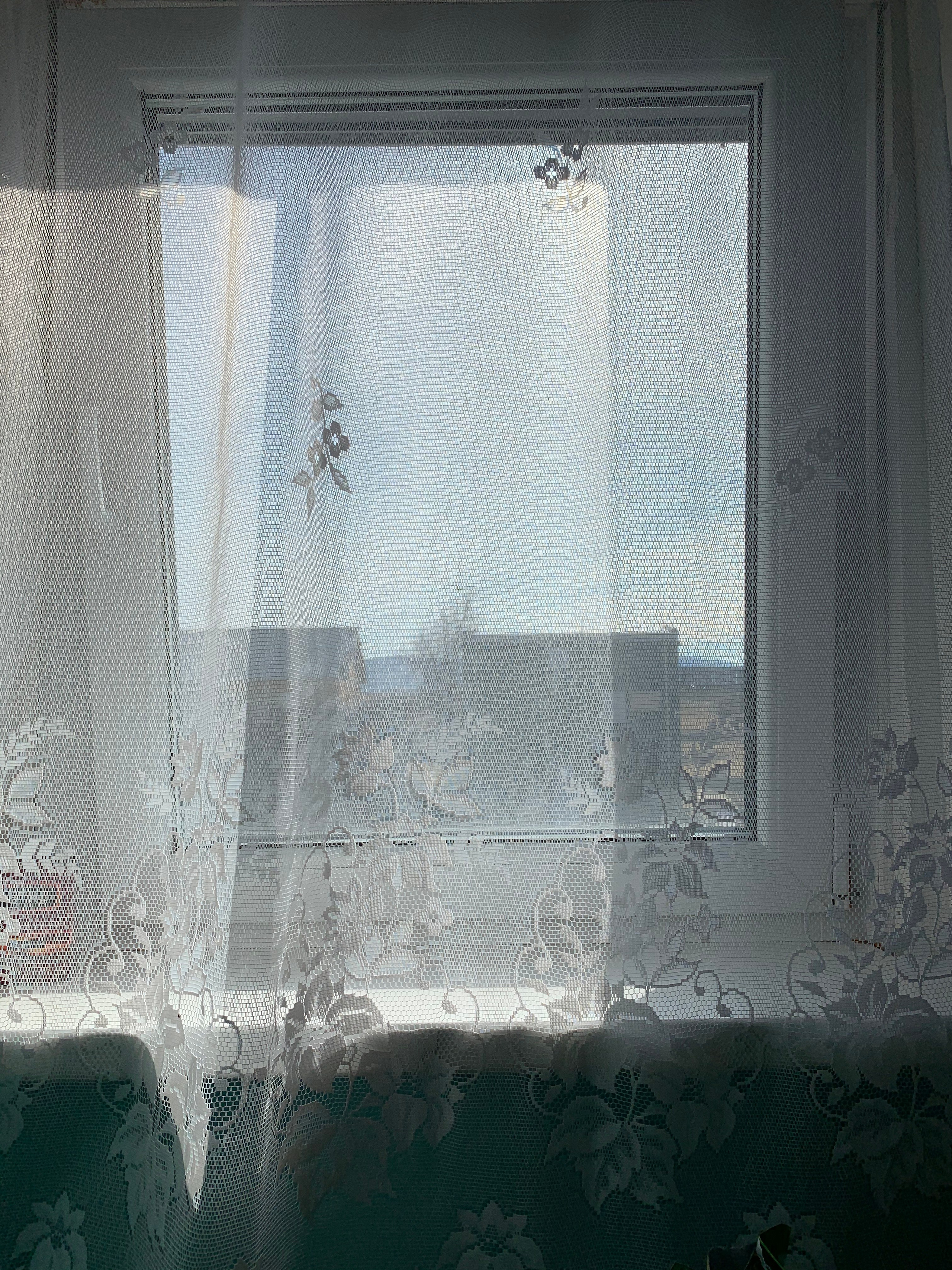 2021. Тащилин Сергей. Фотографии. Жизнь. Хобби