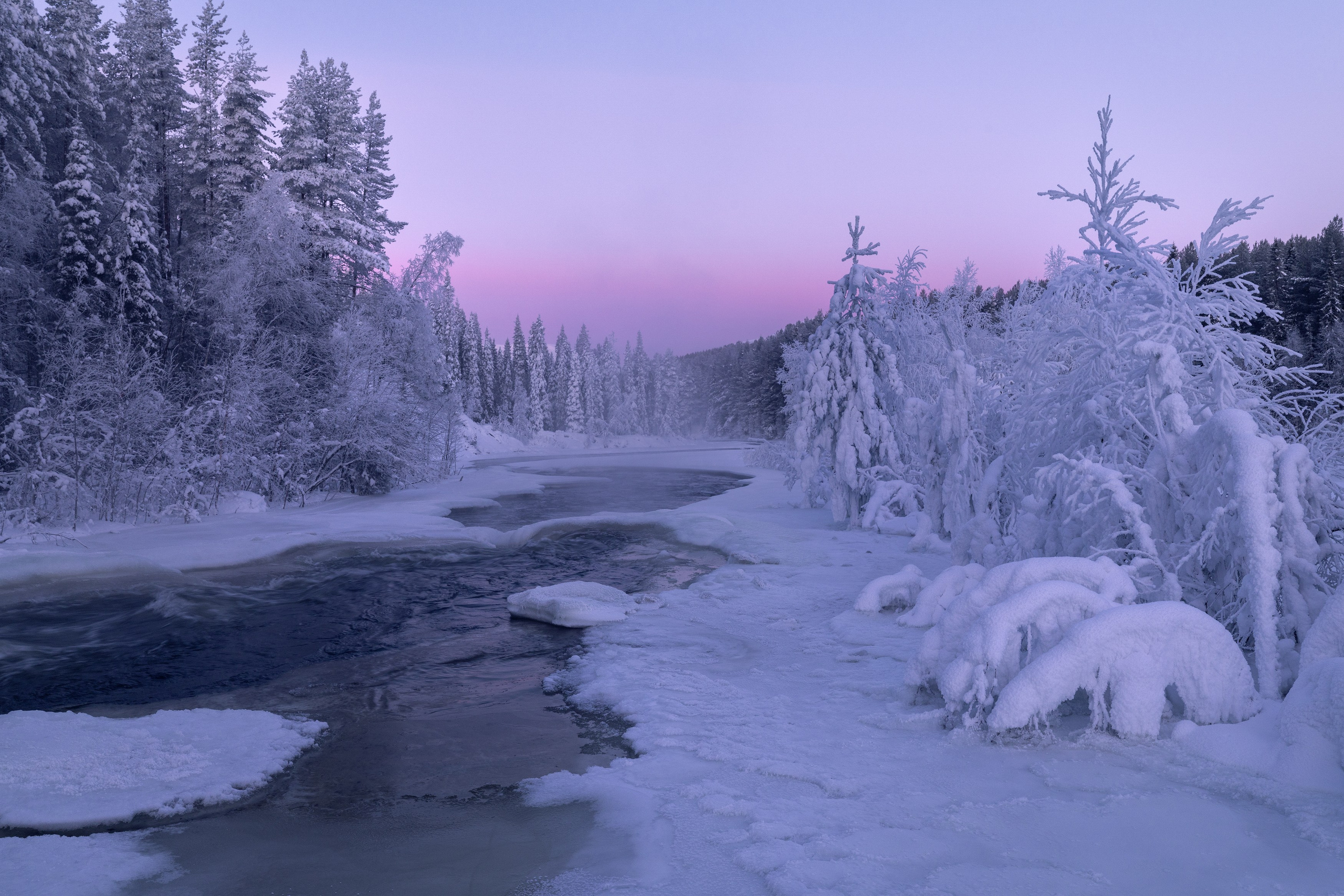 Stanislav Photography