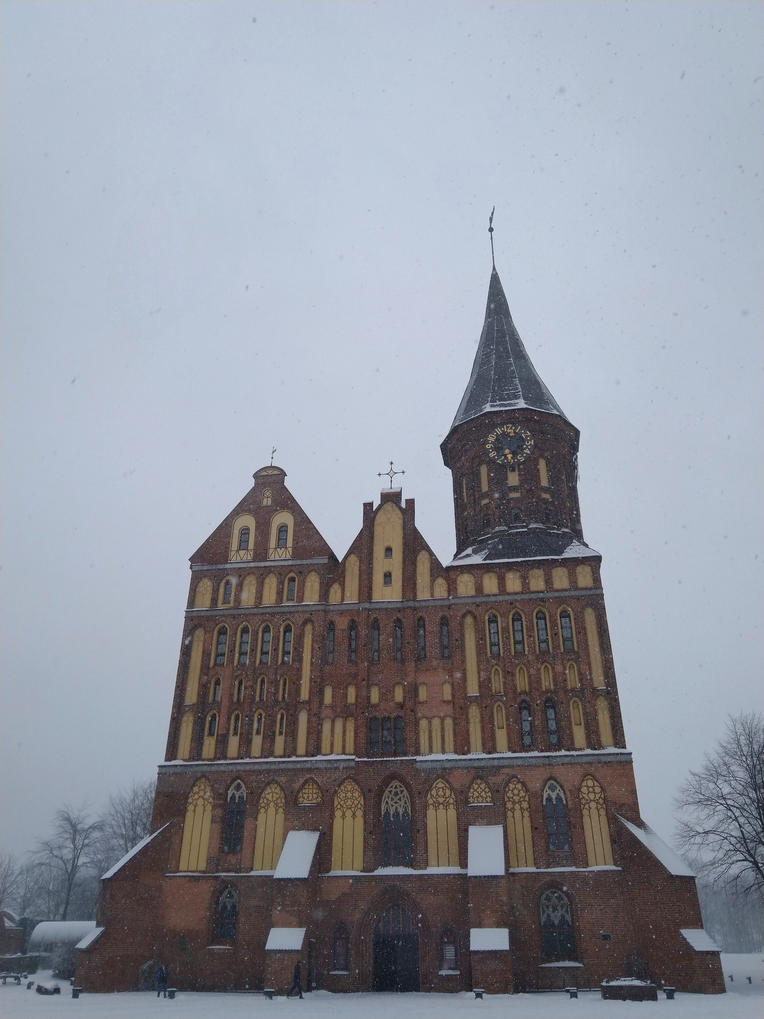 Калининград. Надежда Козлова, фотограф, Санкт — Петербург