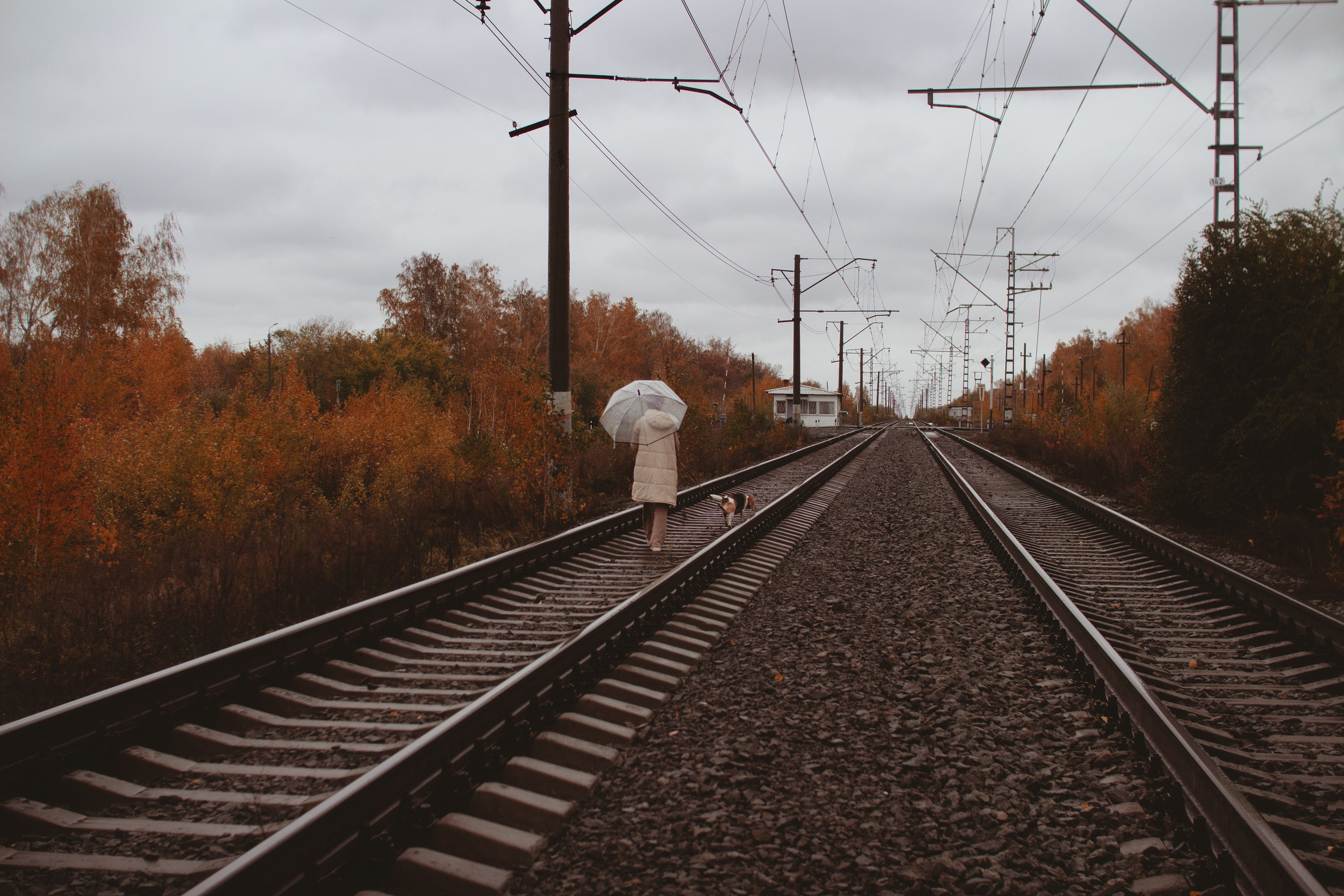 Зубовы Family Осень. Фотограф в Челябинске Филимонова Дарья