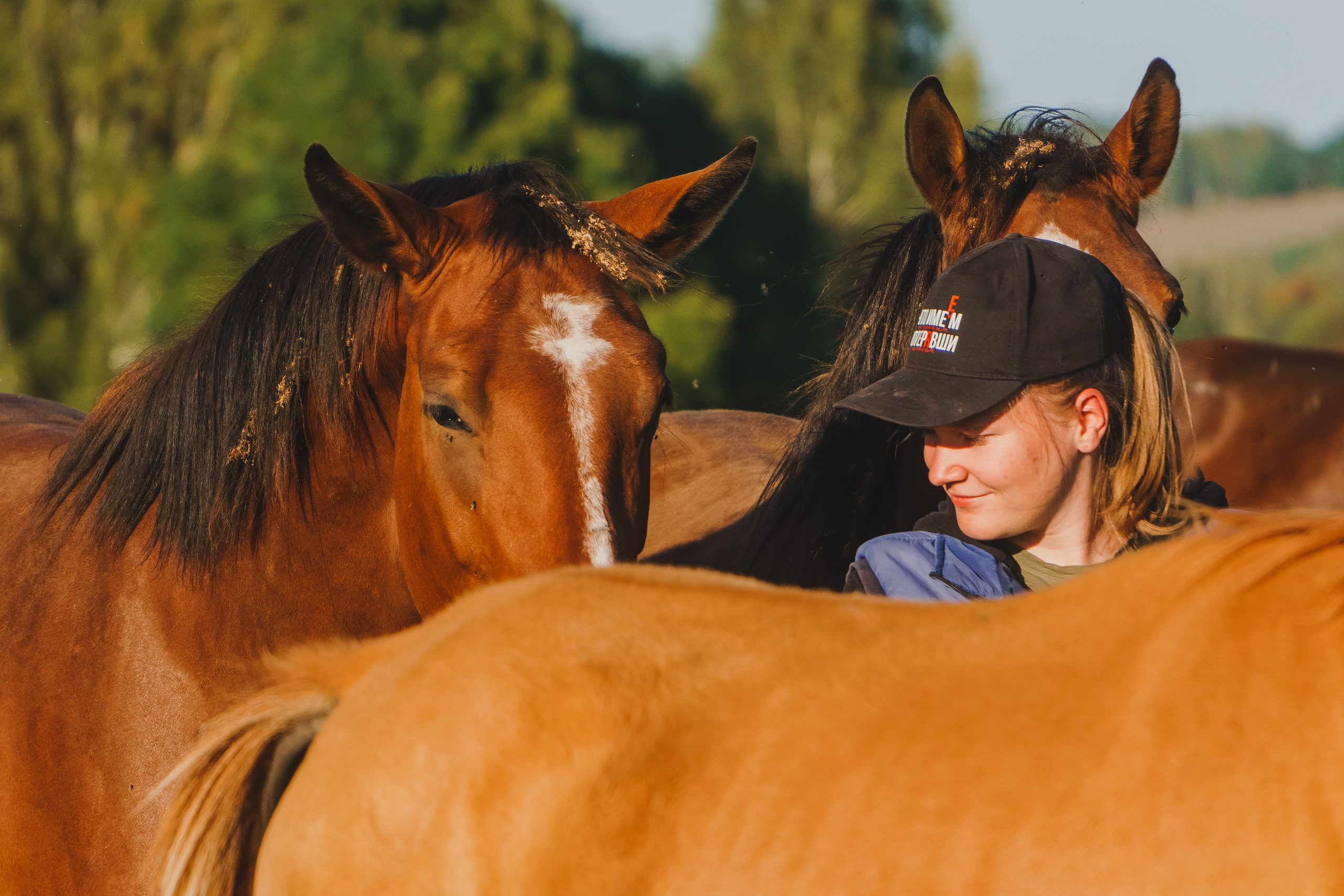 Life with horse. Saamill