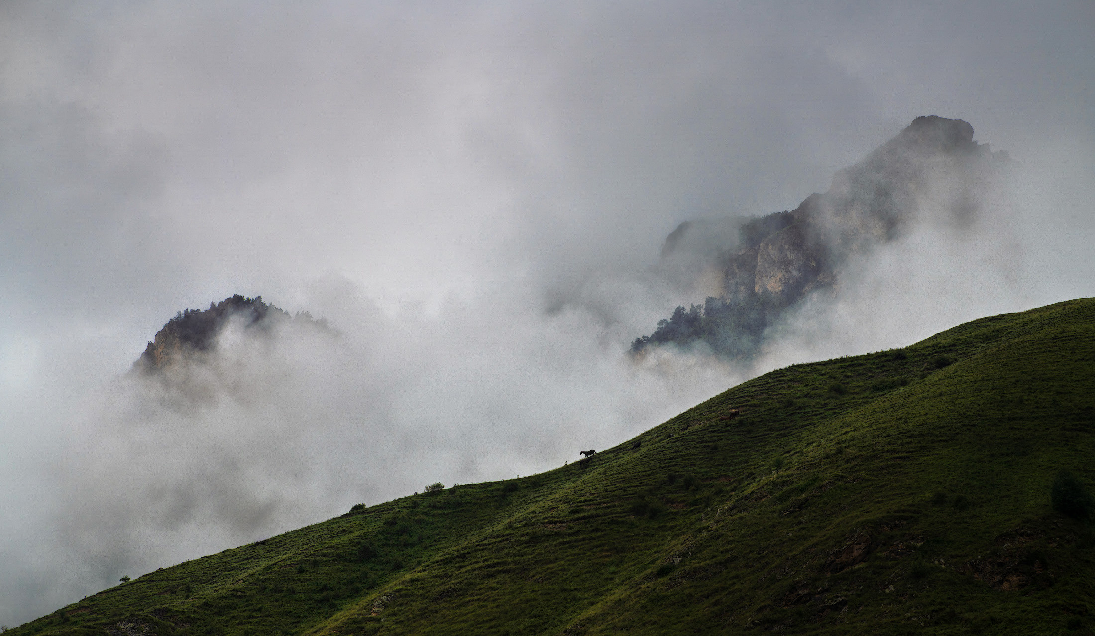 Landscapes. Фотограф — Денис Богомолов